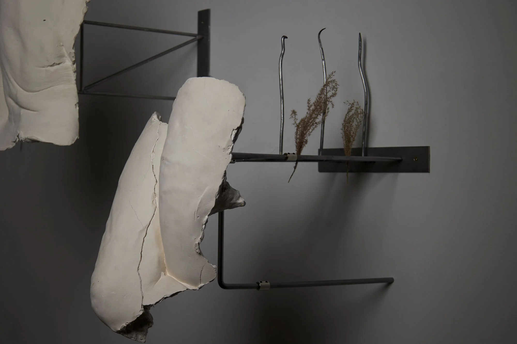 ‘Socially Sanctioned Prosthetics I’ (2026)   Plaster, steel, plants, bronze, silicone |  65 × 92 × 85 cm