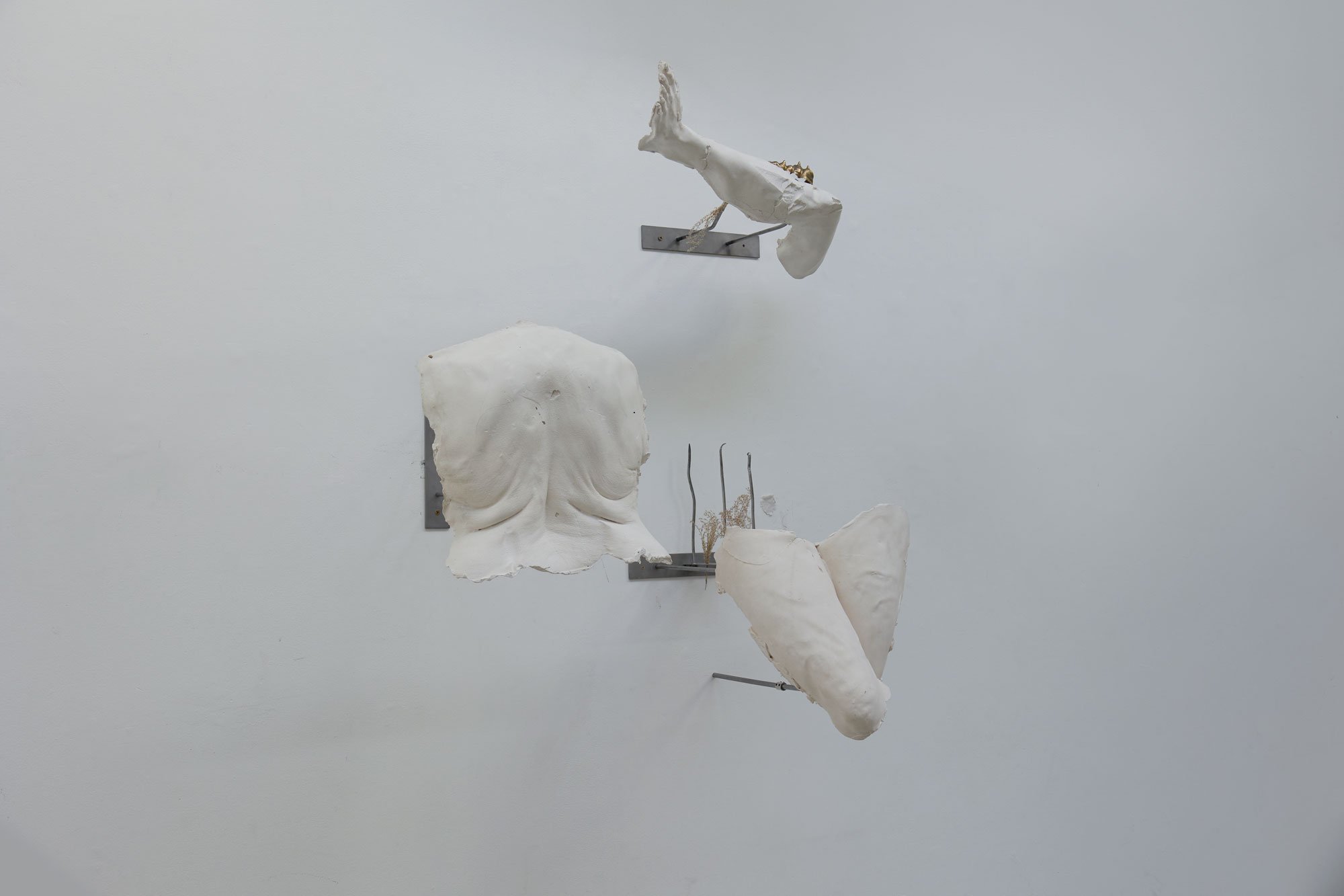 ‘Socially Sanctioned Prosthetics I’ (2026)   Plaster, steel, plants, bronze, silicone |  65 × 92 × 85 cm