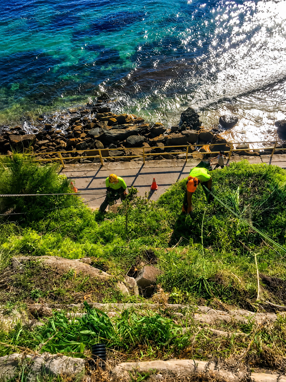 Land clearing and vegetation management
Northern Beaches