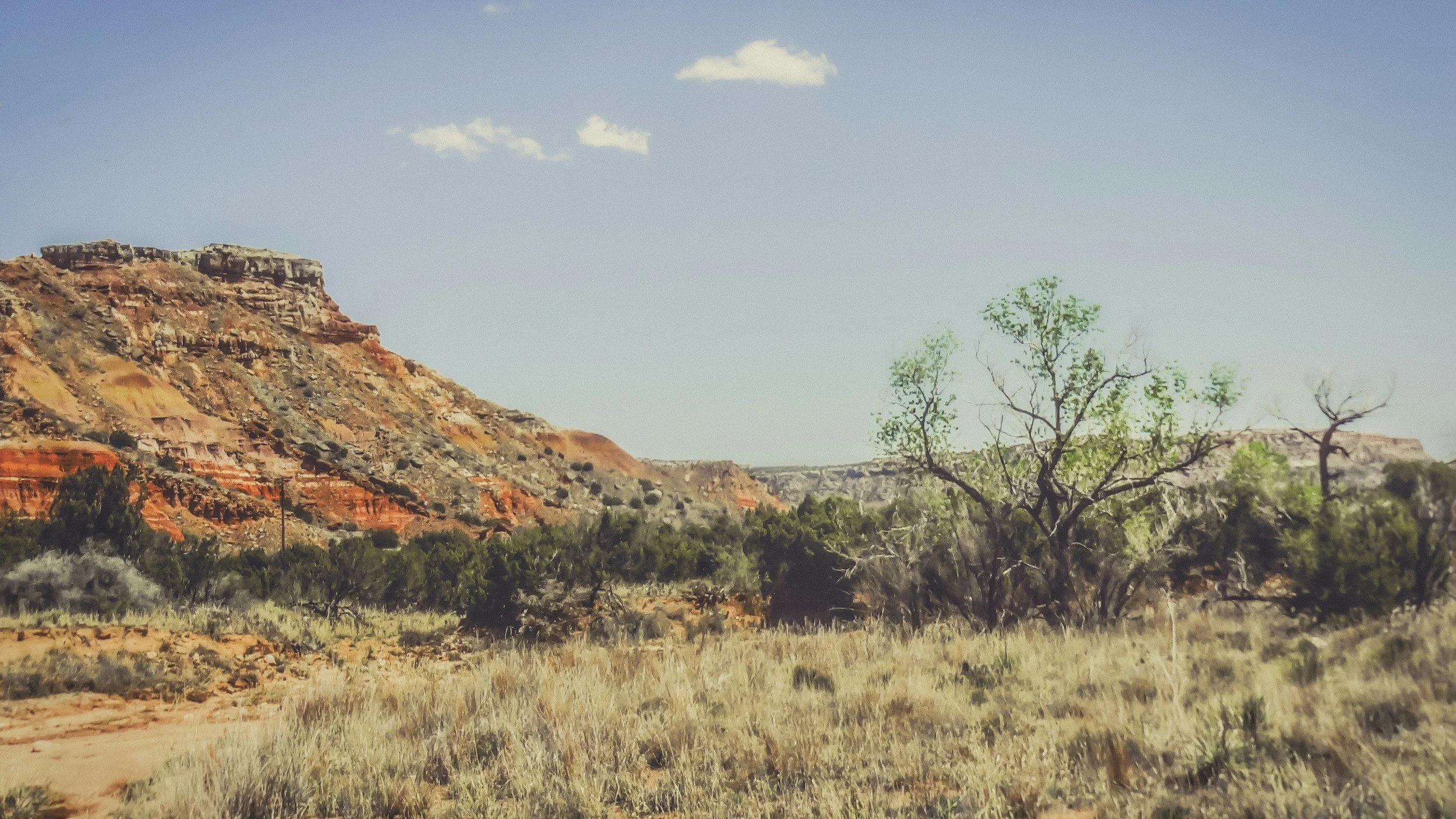 A landscape of a rocky desert with sparse vegetation, including a few trees, and layered red and brown cliffs under a partly cloudy sky.