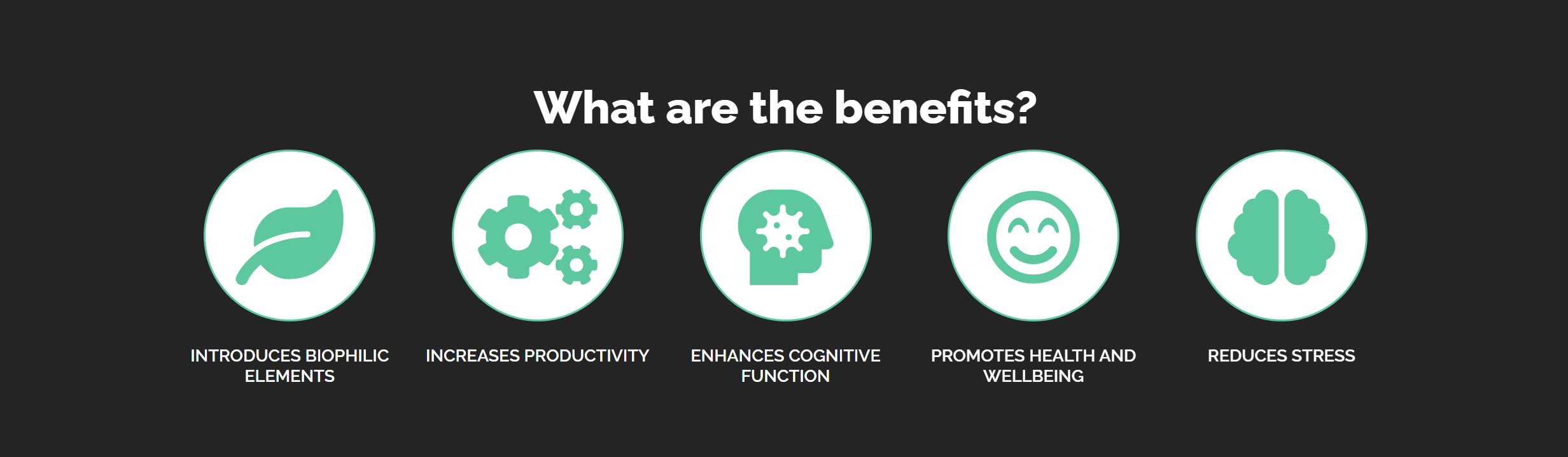 Infographic titled "What are the benefits?" listing five benefits with icons: 1. Leaf icon for introduces biophilic elements, 2. Gears for increases productivity, 3. Head with gears for enhances cognitive function, 4. Smiling face for promotes health and wellbeing, 5. Brain for reduces stress.