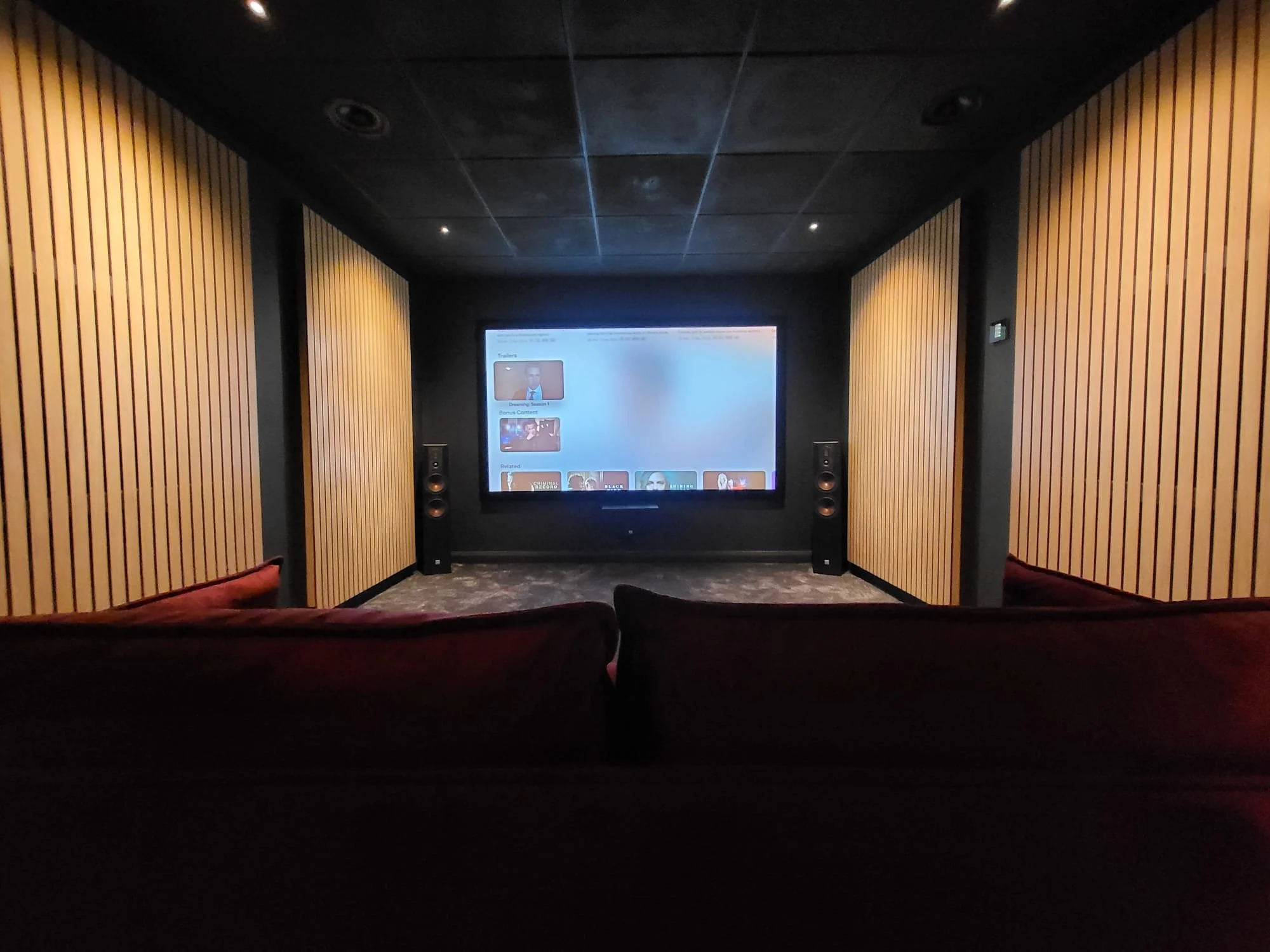 Home Theatre Acoustic Treatment
