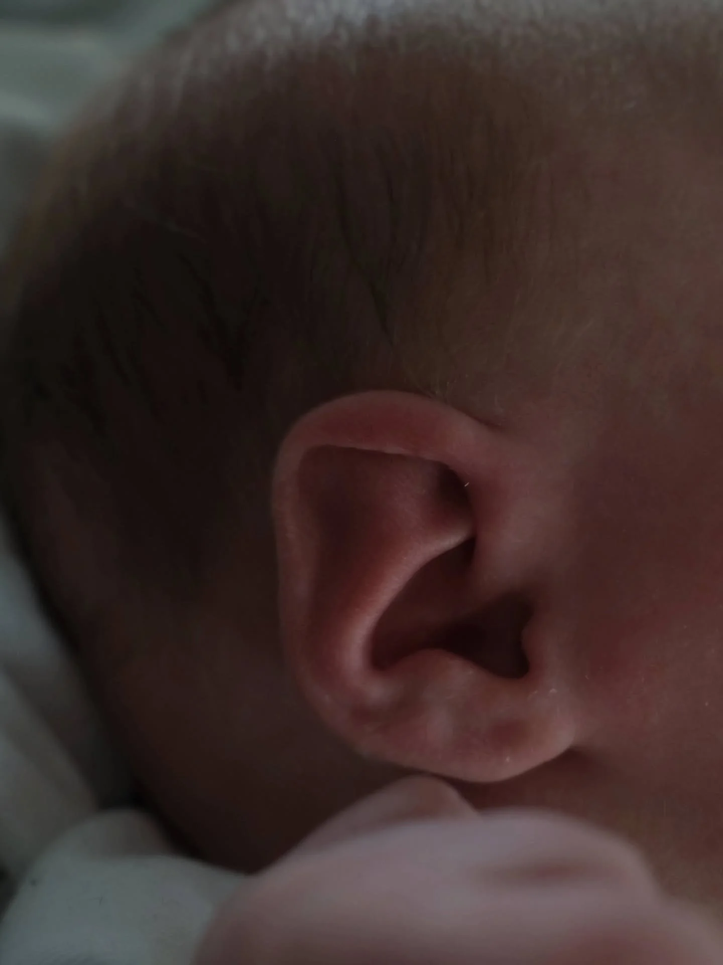 The little details ✨️

#photography #newbornphotography #babyphotography #babies #newborn