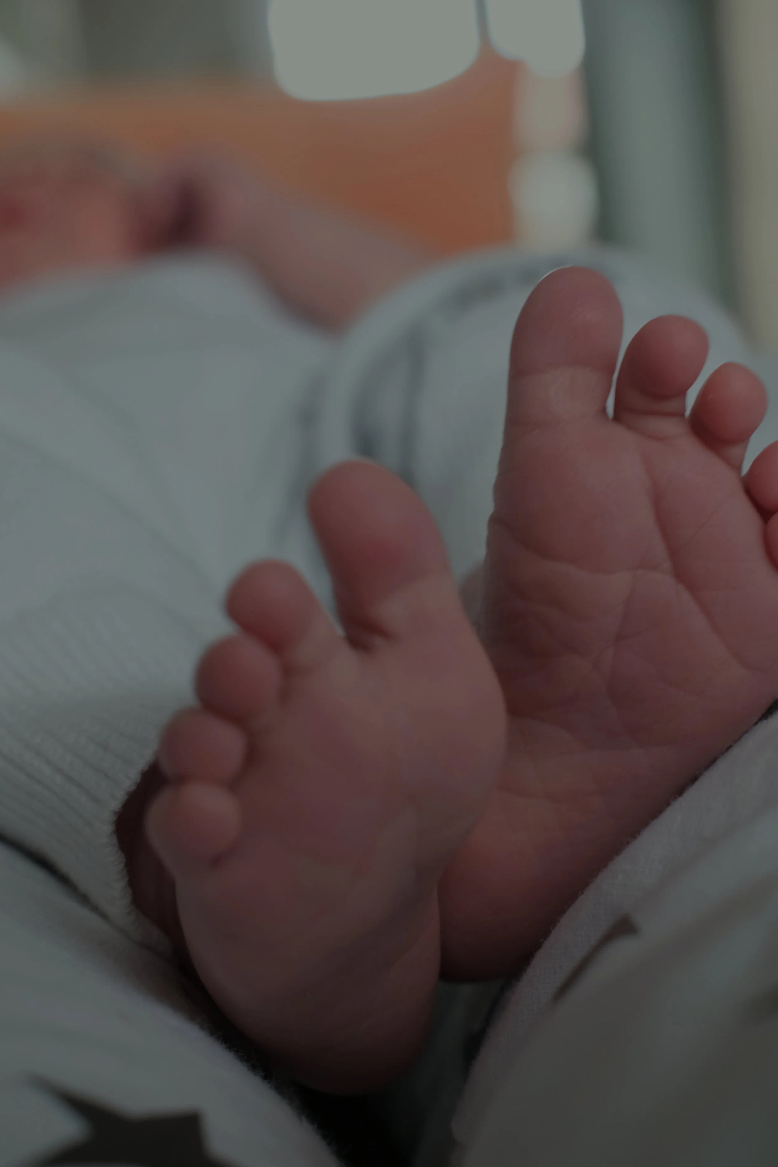 Essential Newborn Photography