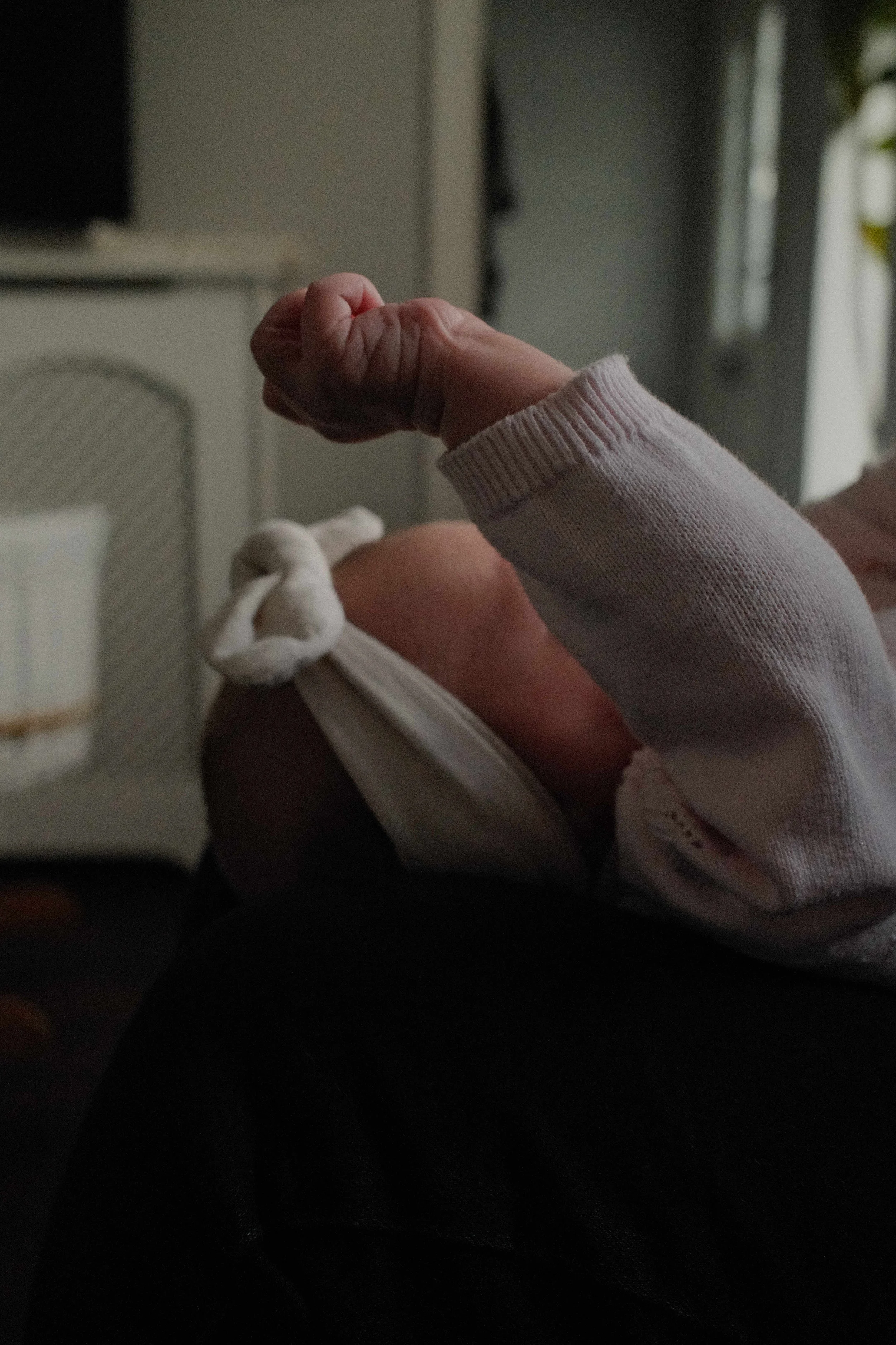 Essential Newborn Session