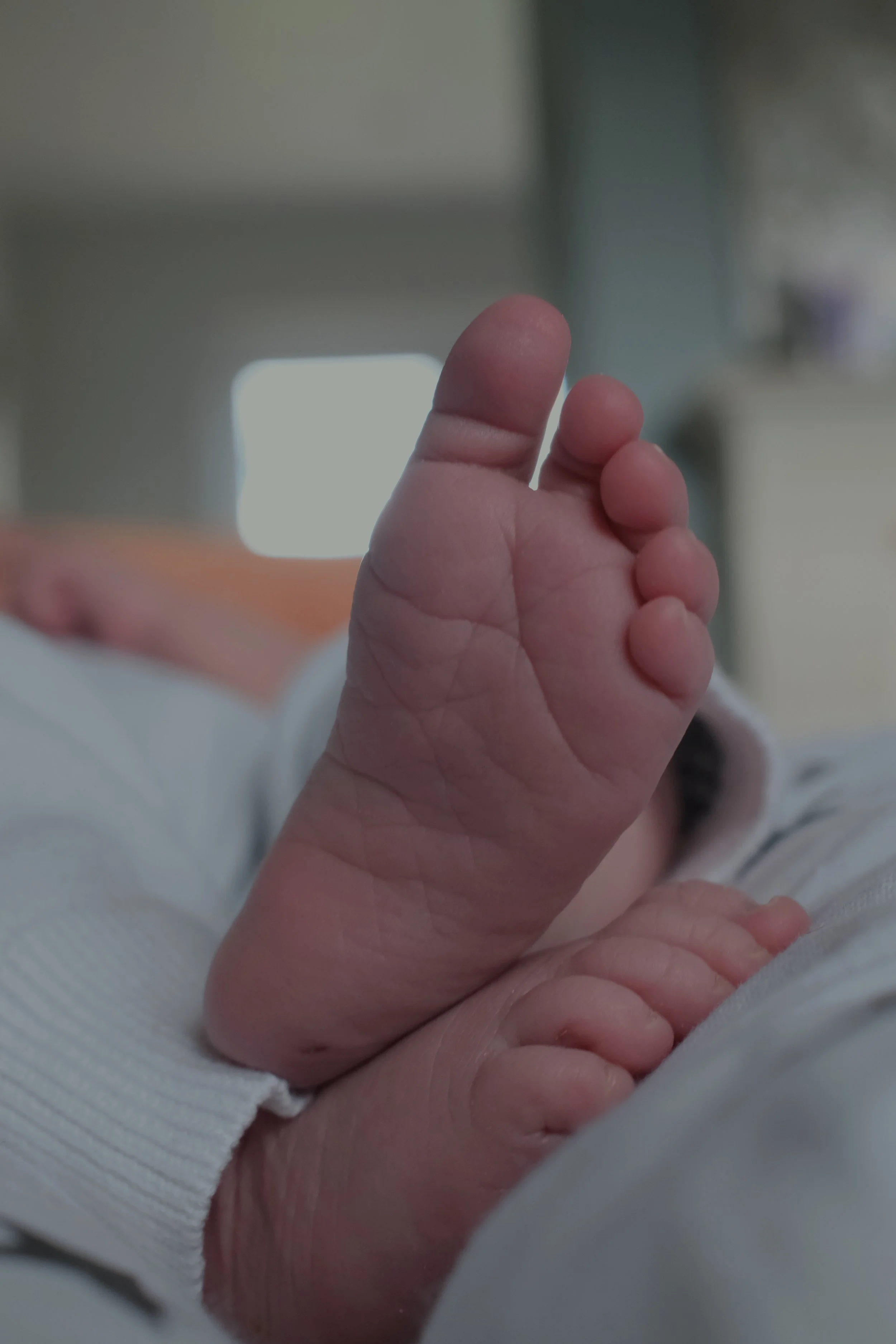 Signature Newborn Session