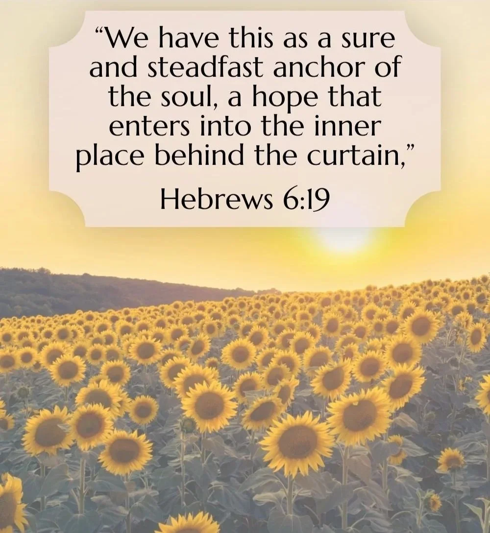 Sunflower field at sunset with a quote from Hebrews 6:19 overlaid: "We have this as a sure and steadfast anchor of the soul, a hope that enters into the inner place behind the curtain."