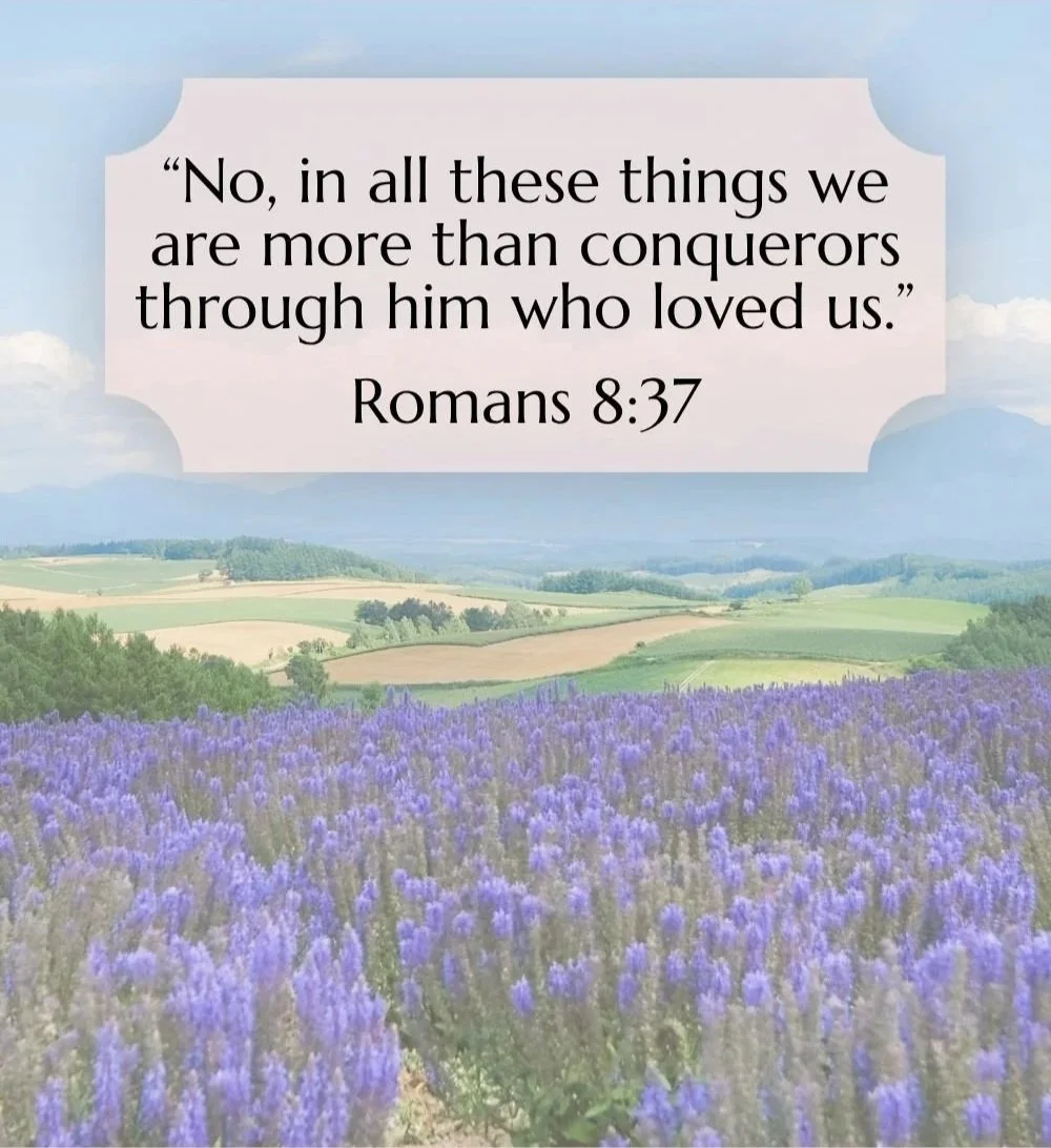 A scenic landscape with rolling fields of green and purple lavender flowers. In the sky, there are clouds and the image features a quote from Romans 8:37 in a large text box.