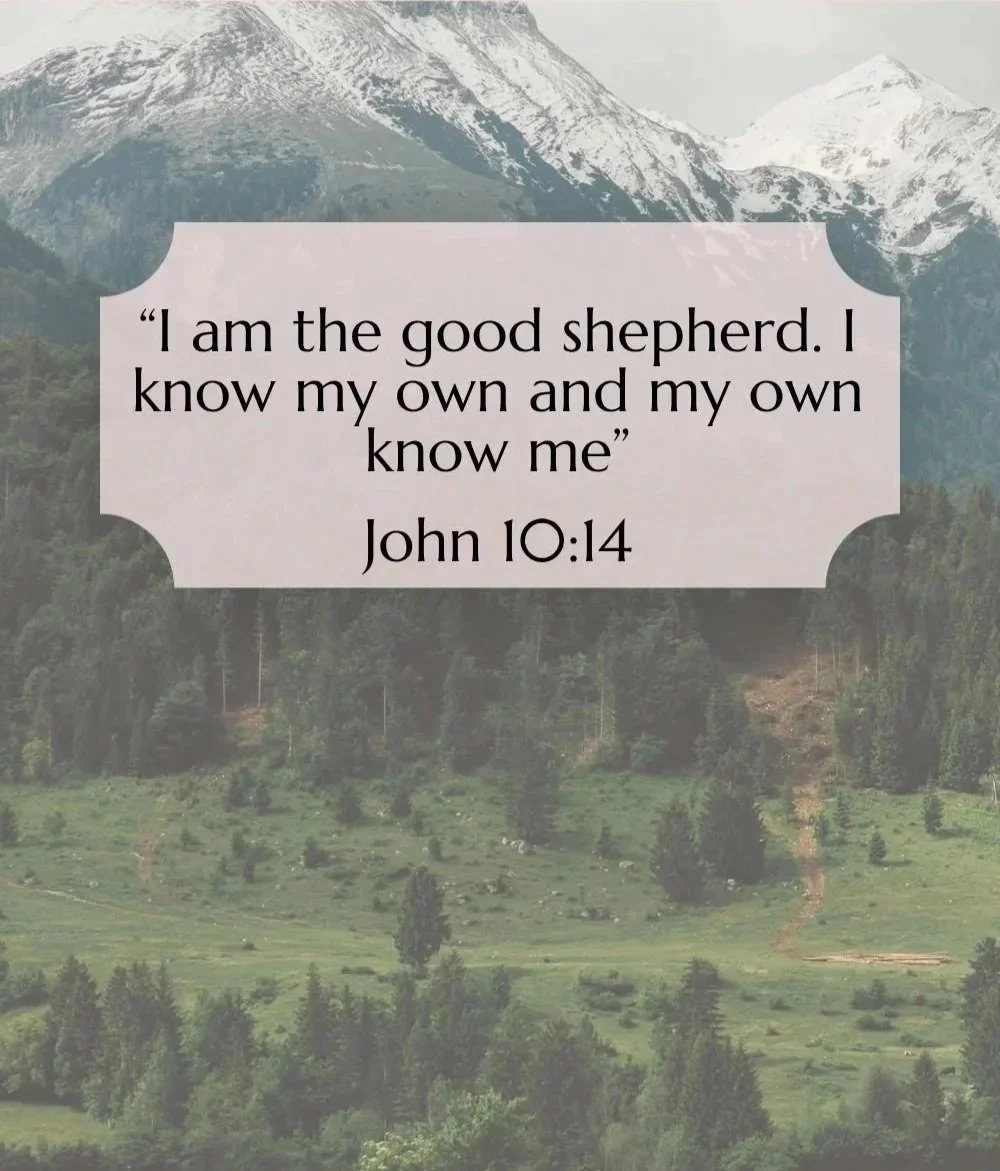 A scenic landscape of mountains with snow caps, green trees, and forests with a biblical quote from John 10:14 in a decorative frame.