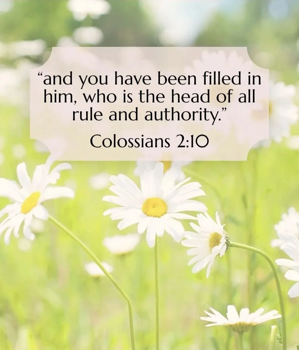 A background of white daisies with green foliage and sunlight, overlaid with a quote from Colossians 2:10 about rule and authority.