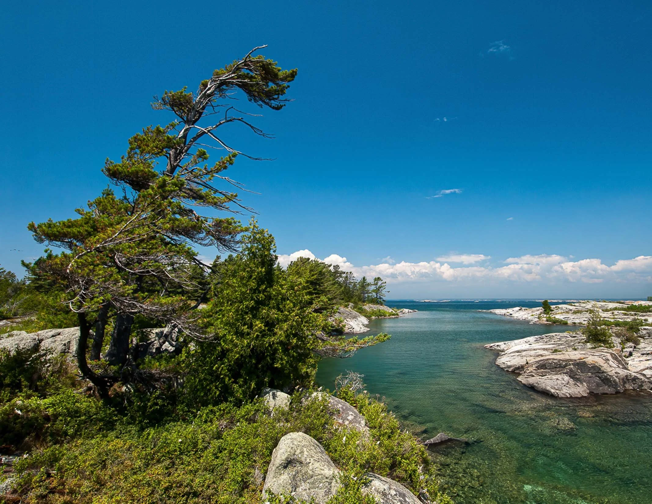 Looking for sailing courses in Ontario? North 45 Sailing offers Sail Canada-certified training, private sailing lessons, cruising courses, and Georgian Bay sailing charters from Parry Sound.