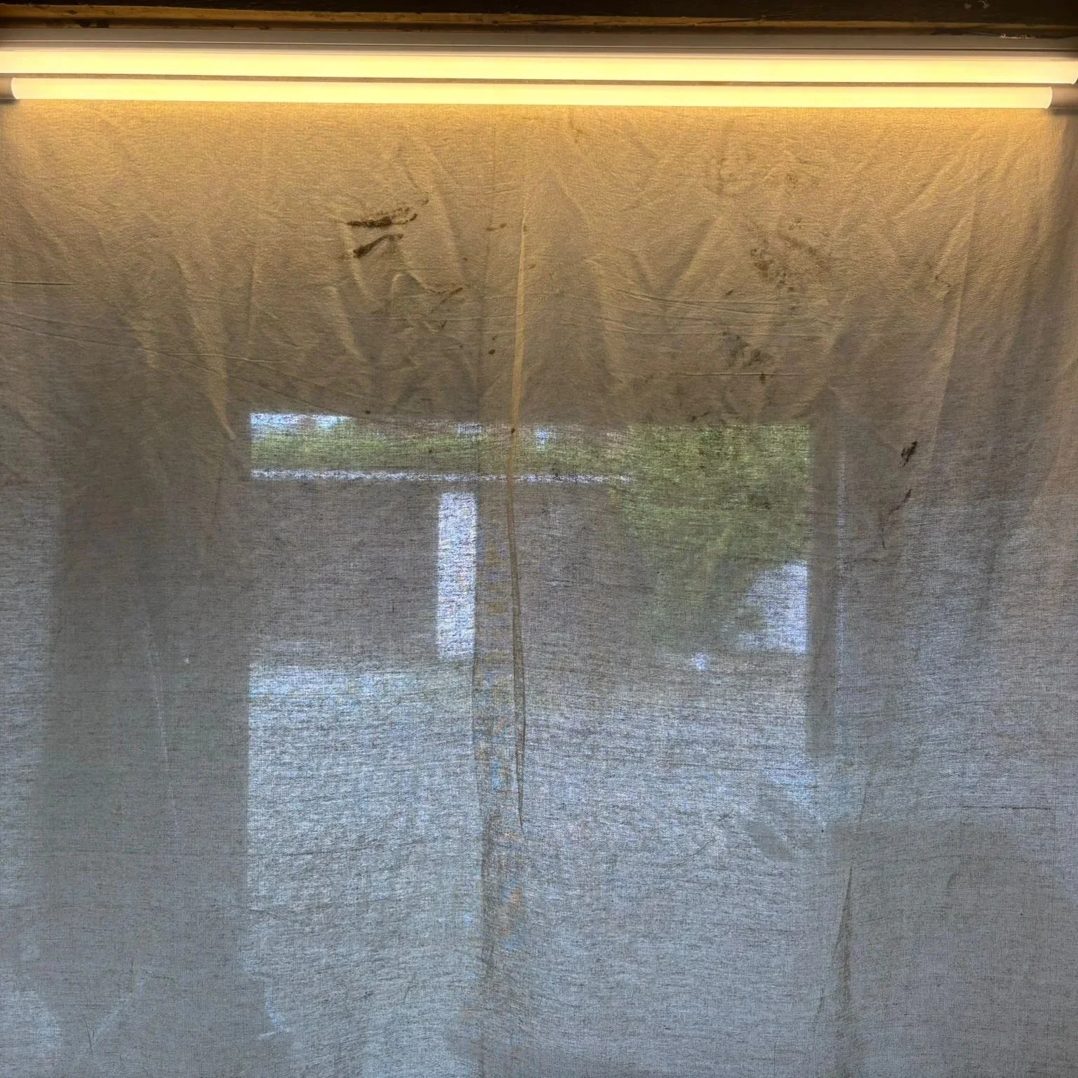 View through a sheer curtain showing trees and sky outside.