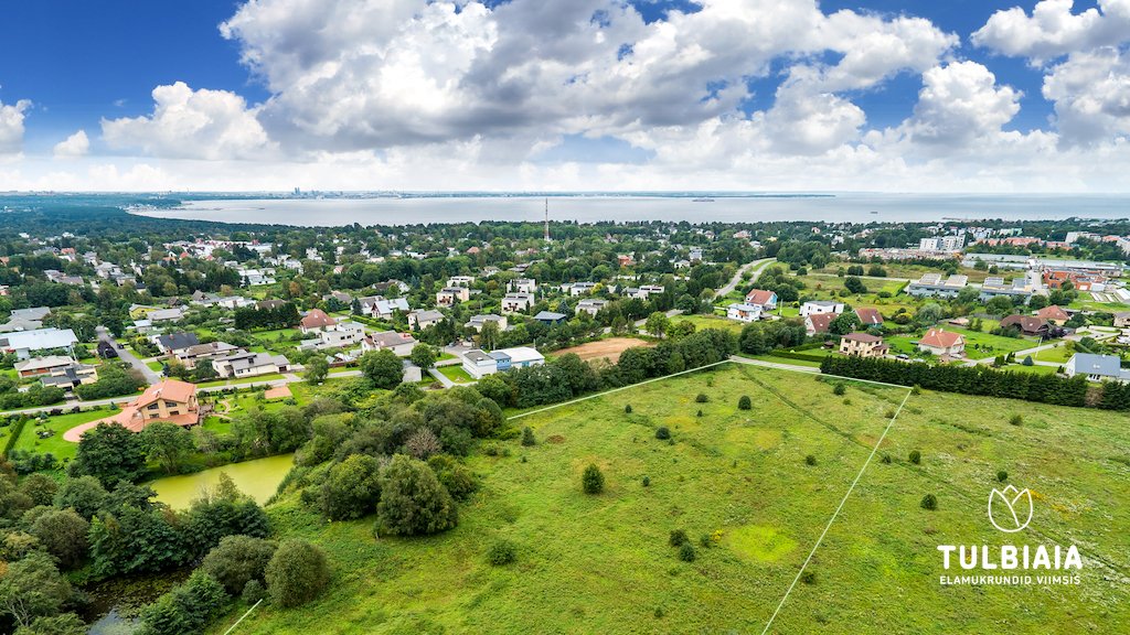 Tulbiaia_elamukrundid-viimsis_Pano-2.jpg