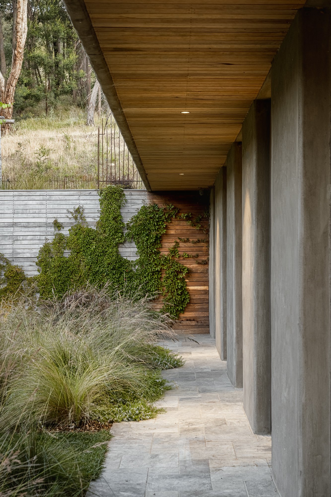 The Architecture Studio