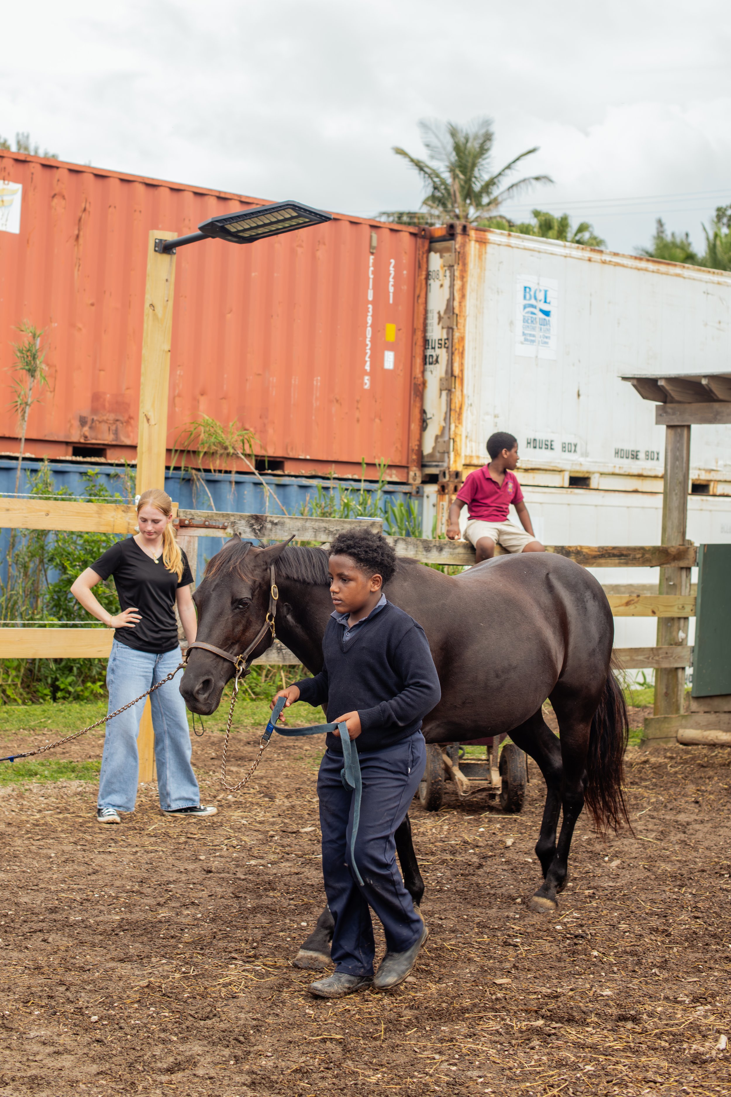 Equine Assisted Interaction & Learning