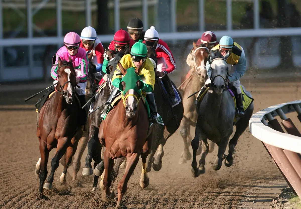 Belmont Stakes