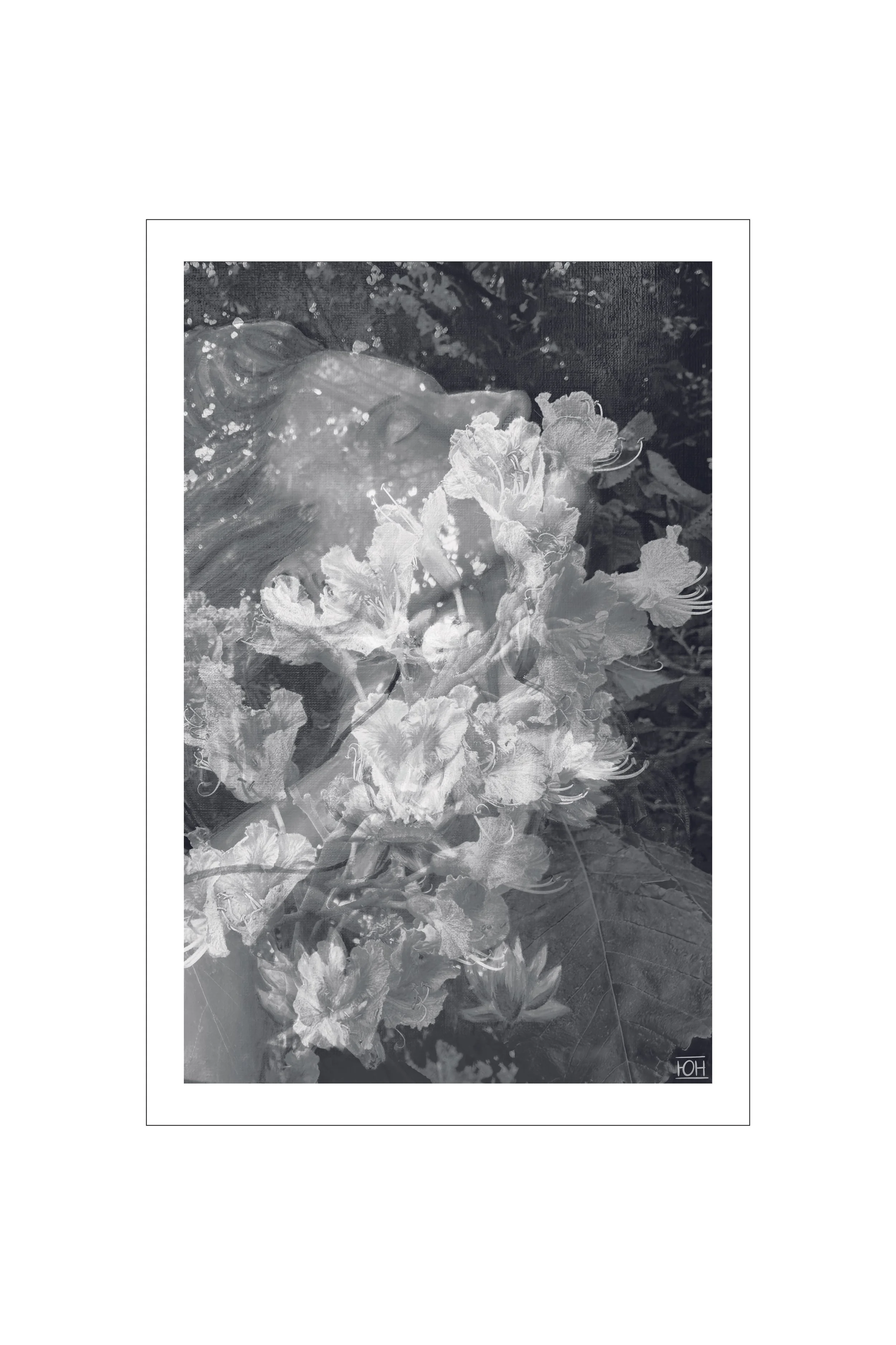 Blooming N&B2_ pour site.jpg