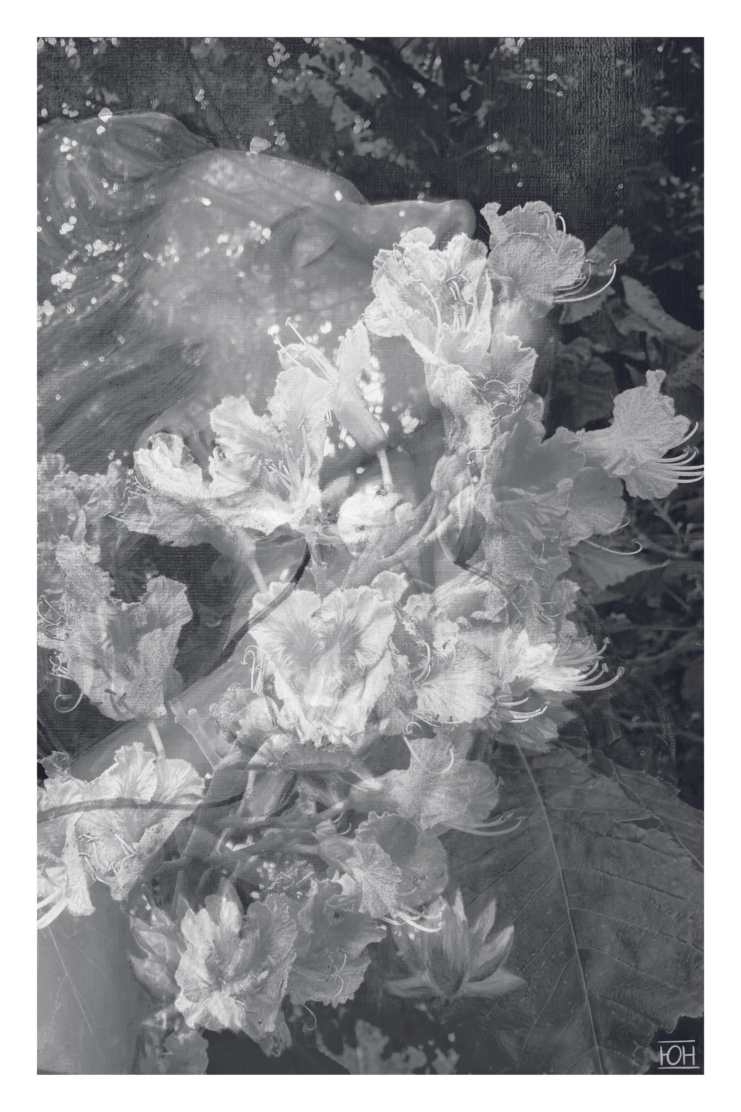 Blooming B&W