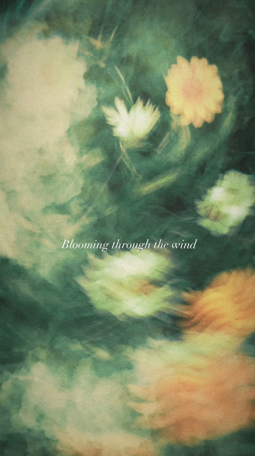 Fleurs colorées et floues avec le texte 'Blooming through the wind' en cursive
