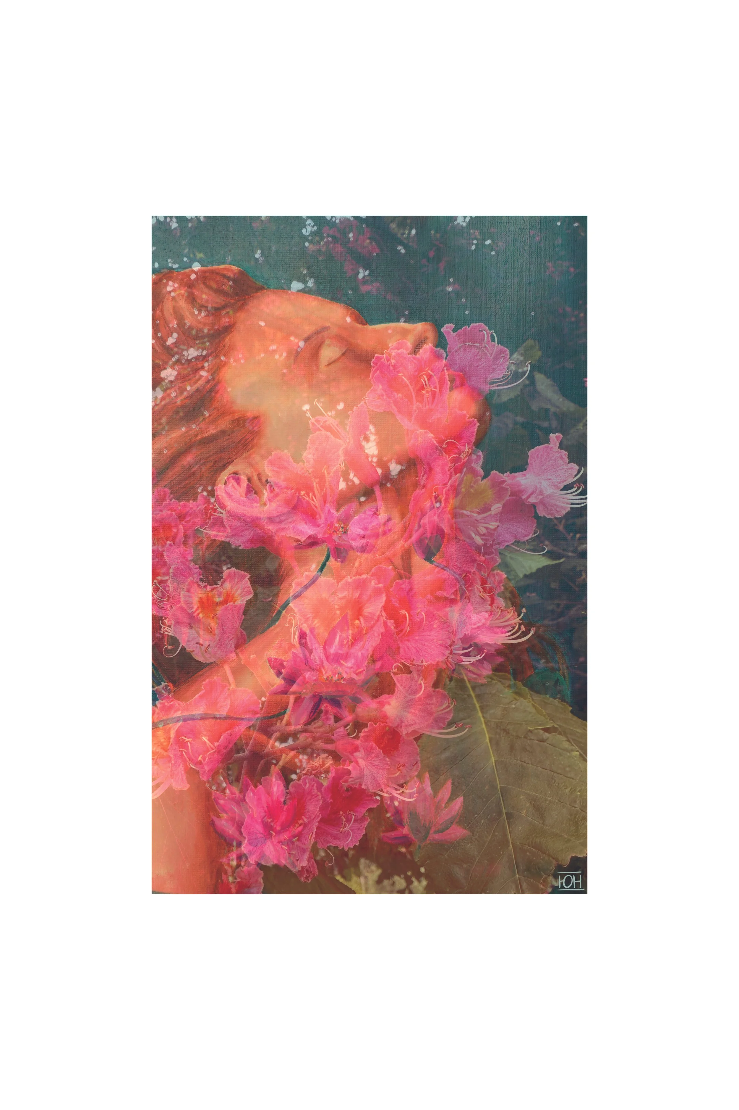 Blooming N&B_ pour site.jpg