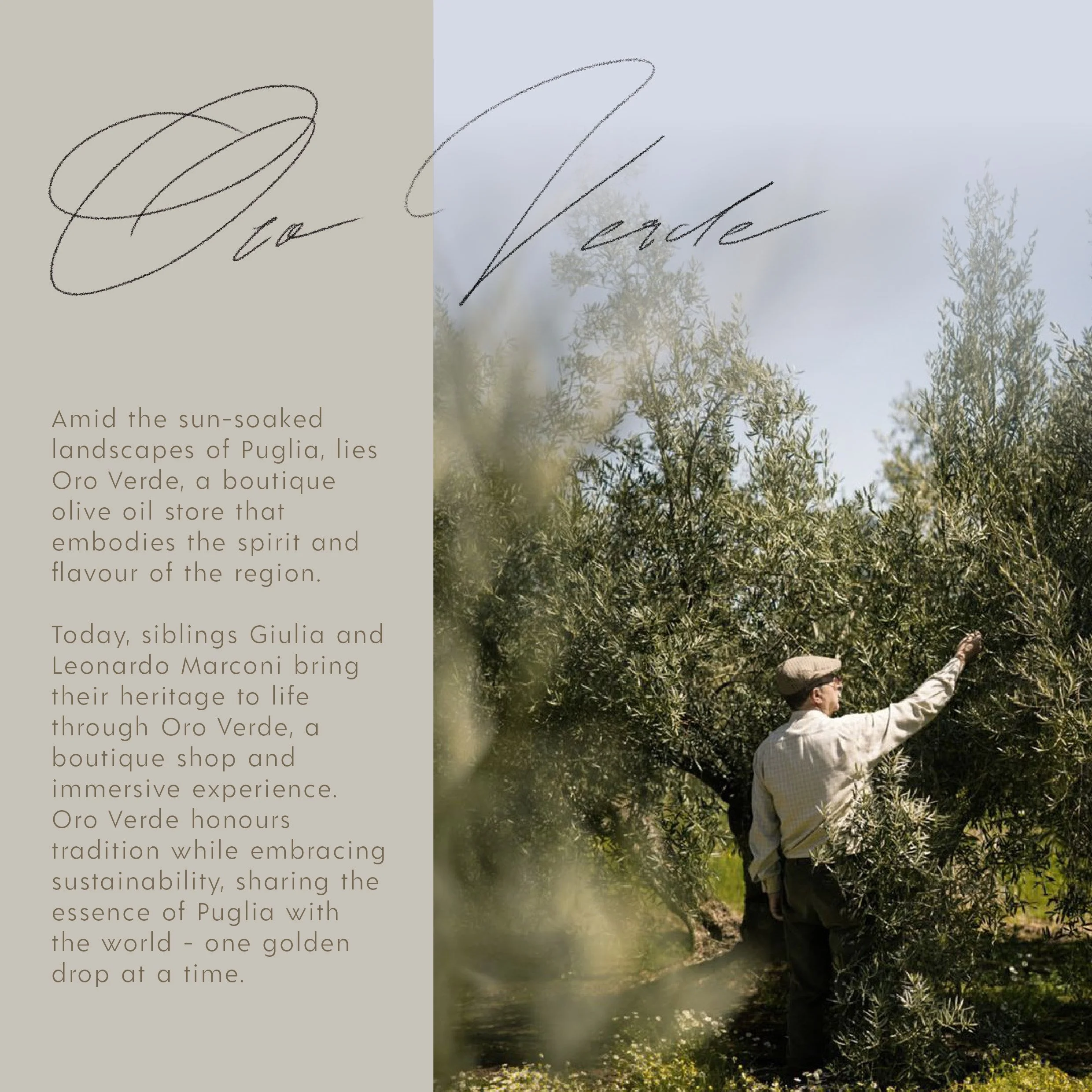 Oro Verde-01.JPG