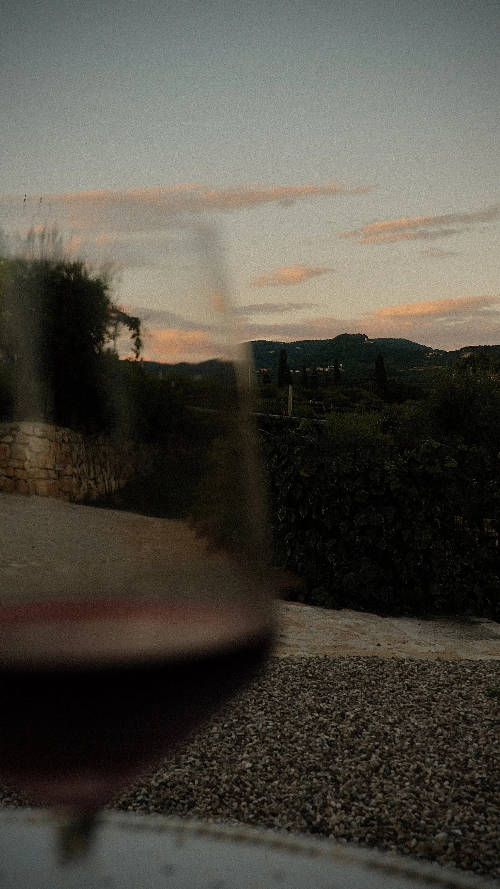 DSCF2286.jpg