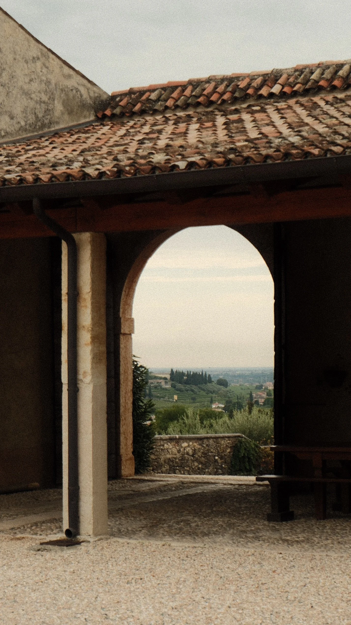 DSCF2364.jpg