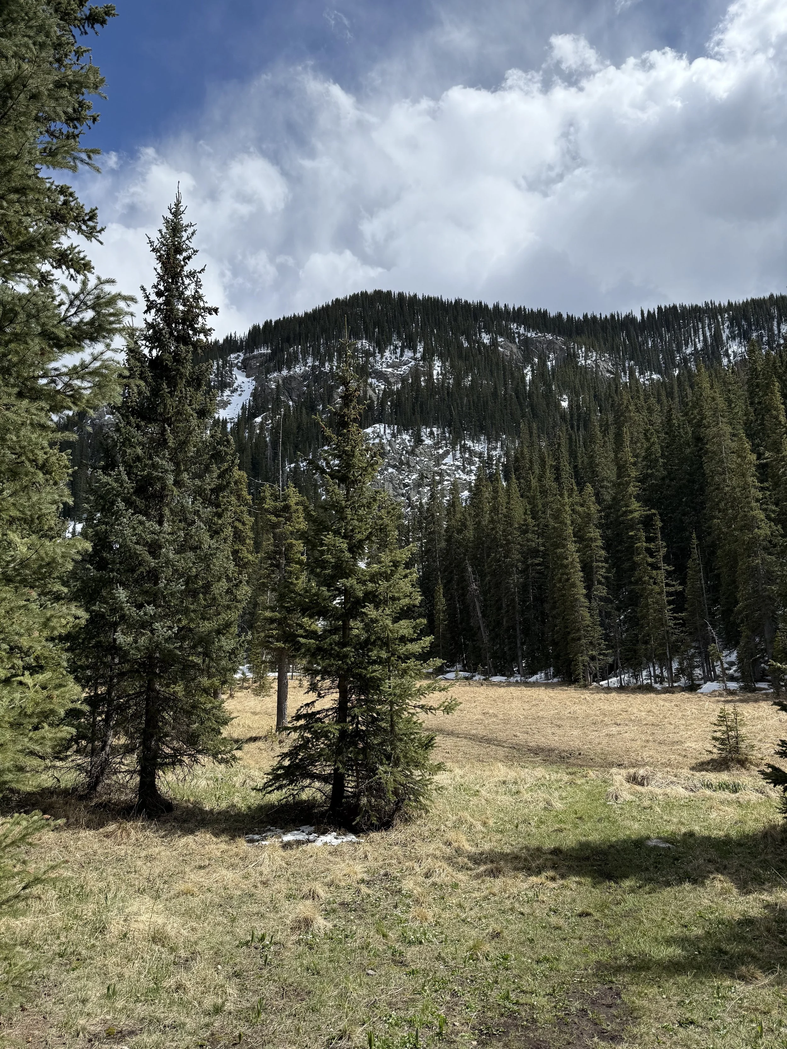 Basic Land Navigation