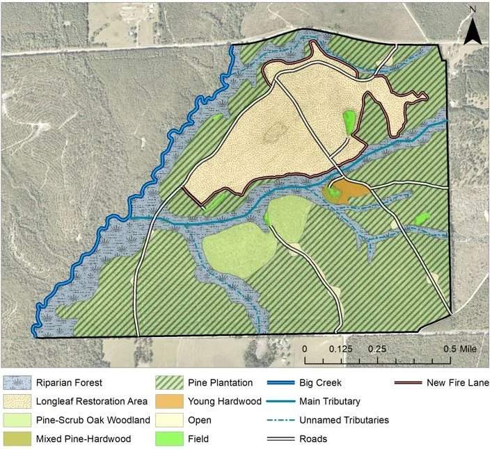 Map of a natural area showing riparian forest, pine plantation, longleaf restoration area, pine-scrub oak woodland, mixed pine-hardwood, open areas, various tributaries, a big creek, new fire lane, roads, and fields, with a scale bar indicating distances in miles.