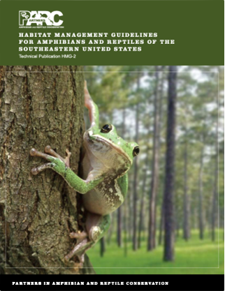 Book cover with a treefrog clinging to a tree trunk in a forested area.