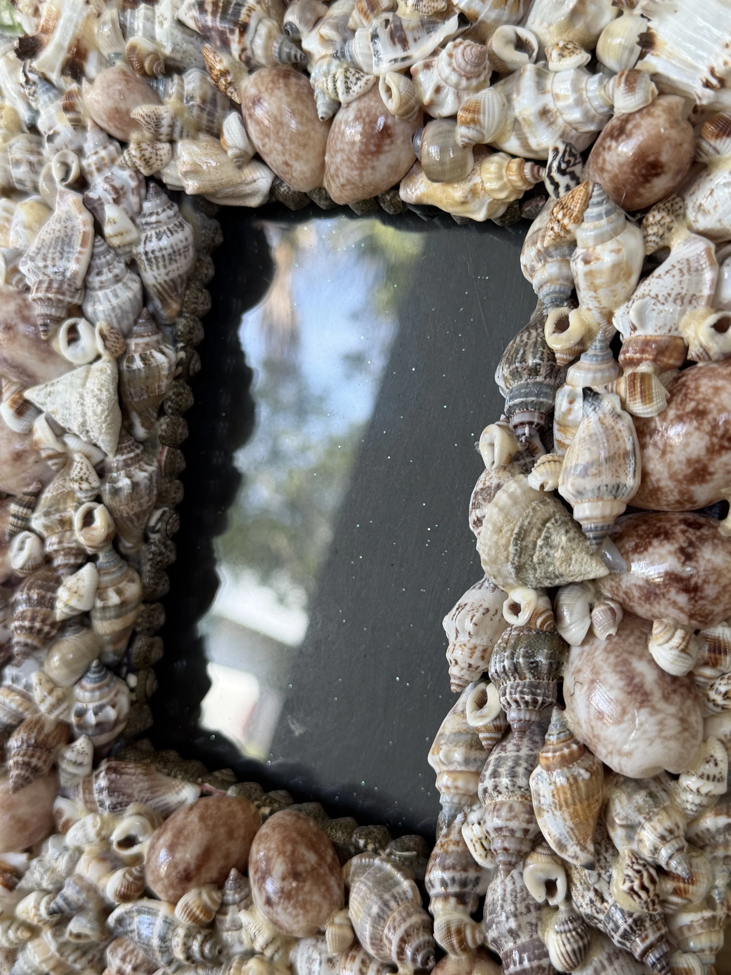 Shell Workshop | Frames