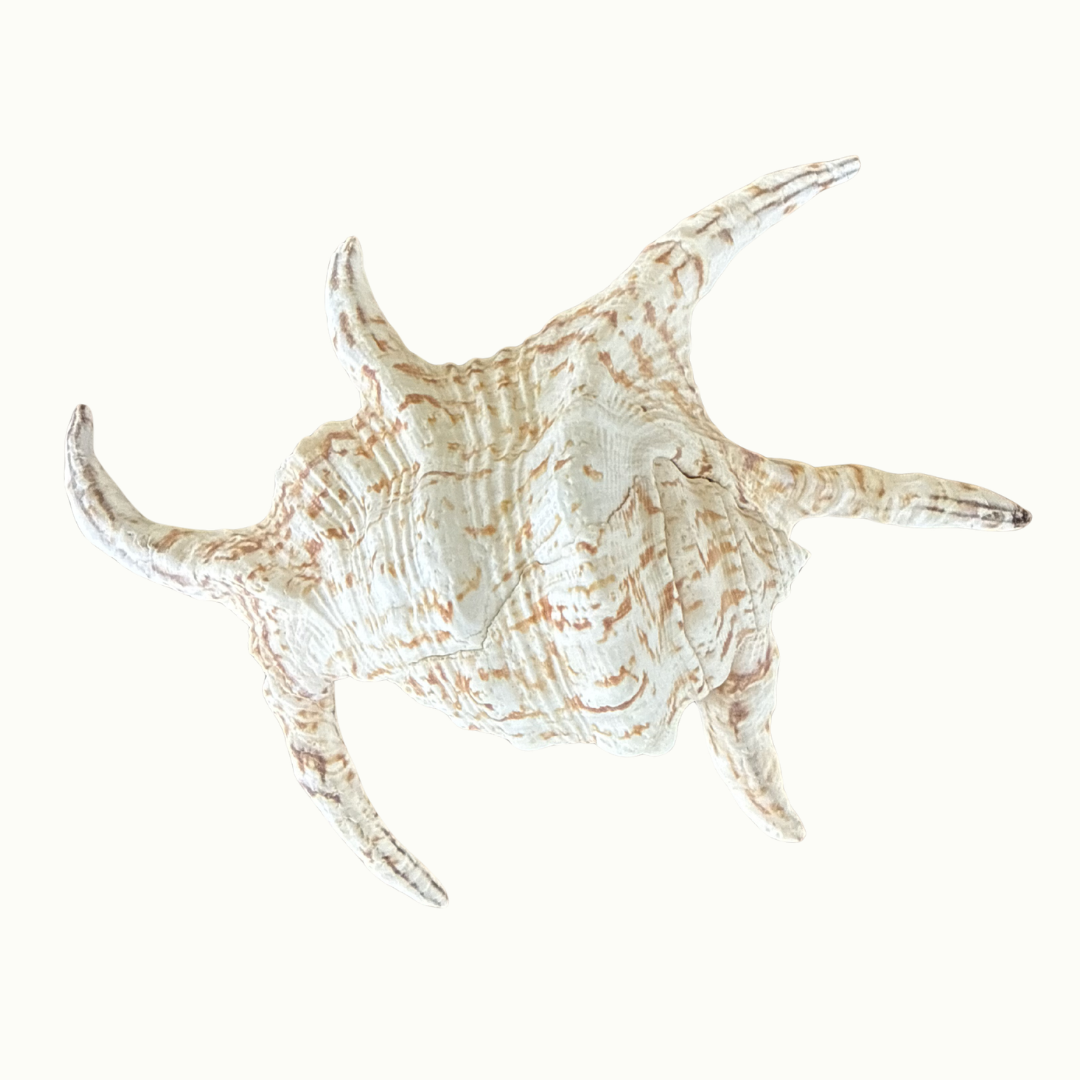DRIFT & CO.  Product Shots (3).png