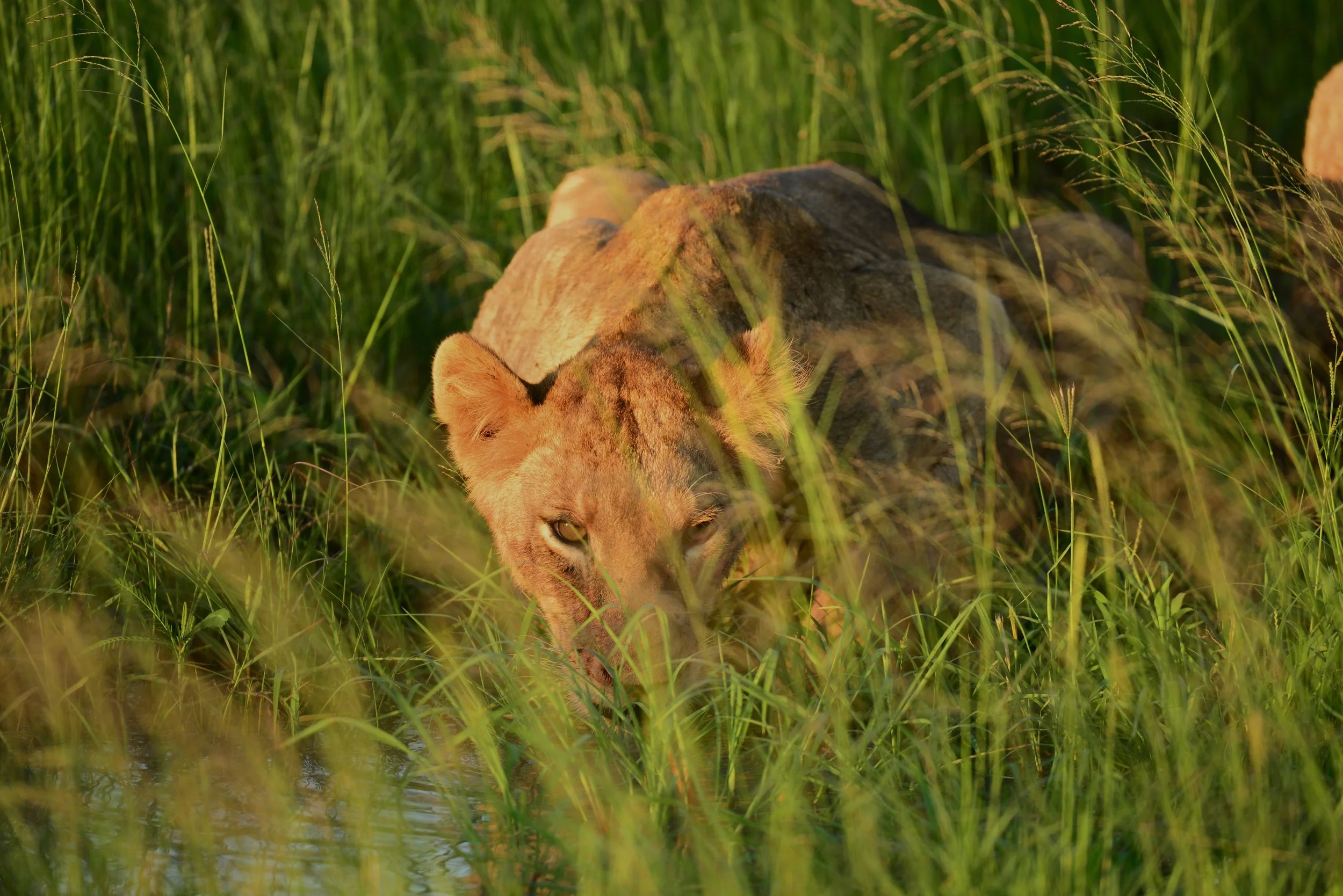 DSC_2548.jpg