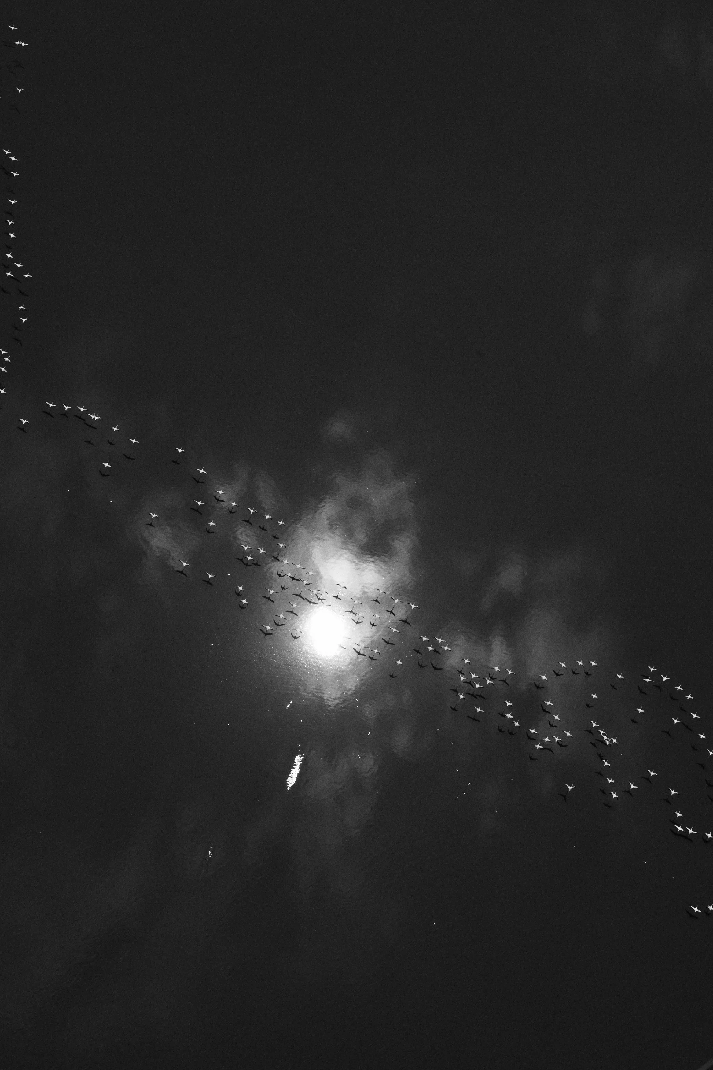 DSC_8787.jpg