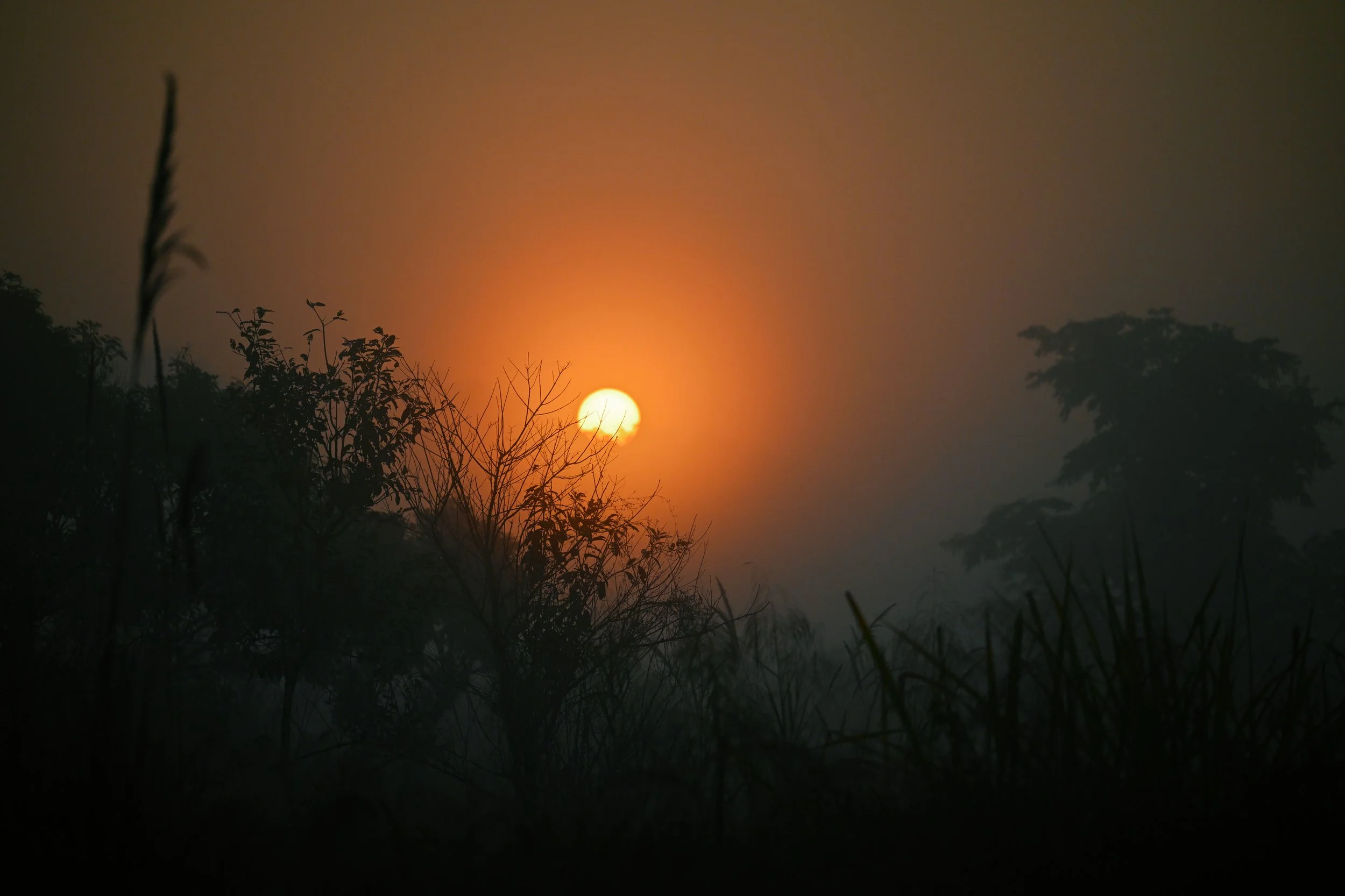 DSC_3947.jpg