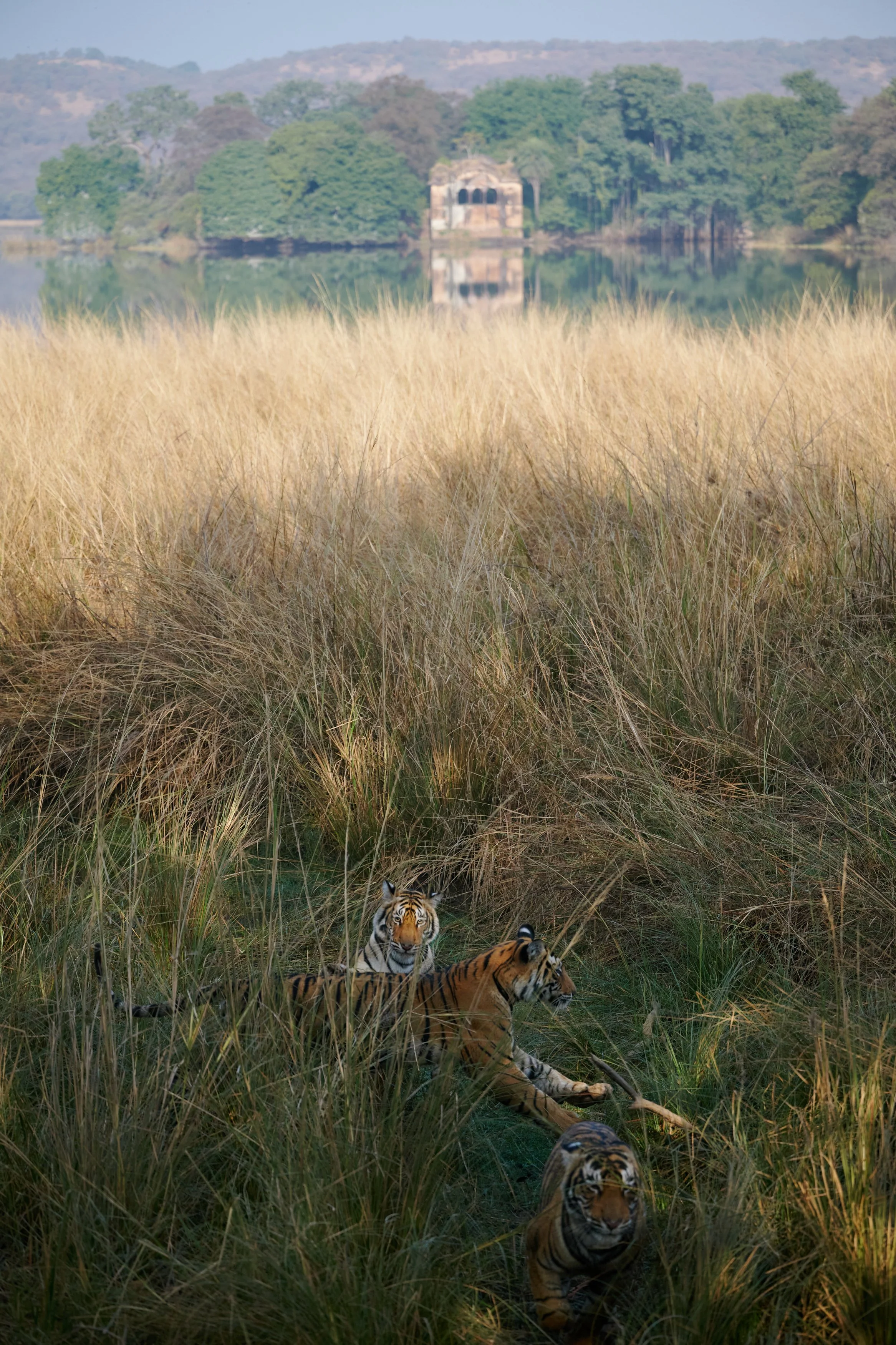 DSC_3187.jpg
