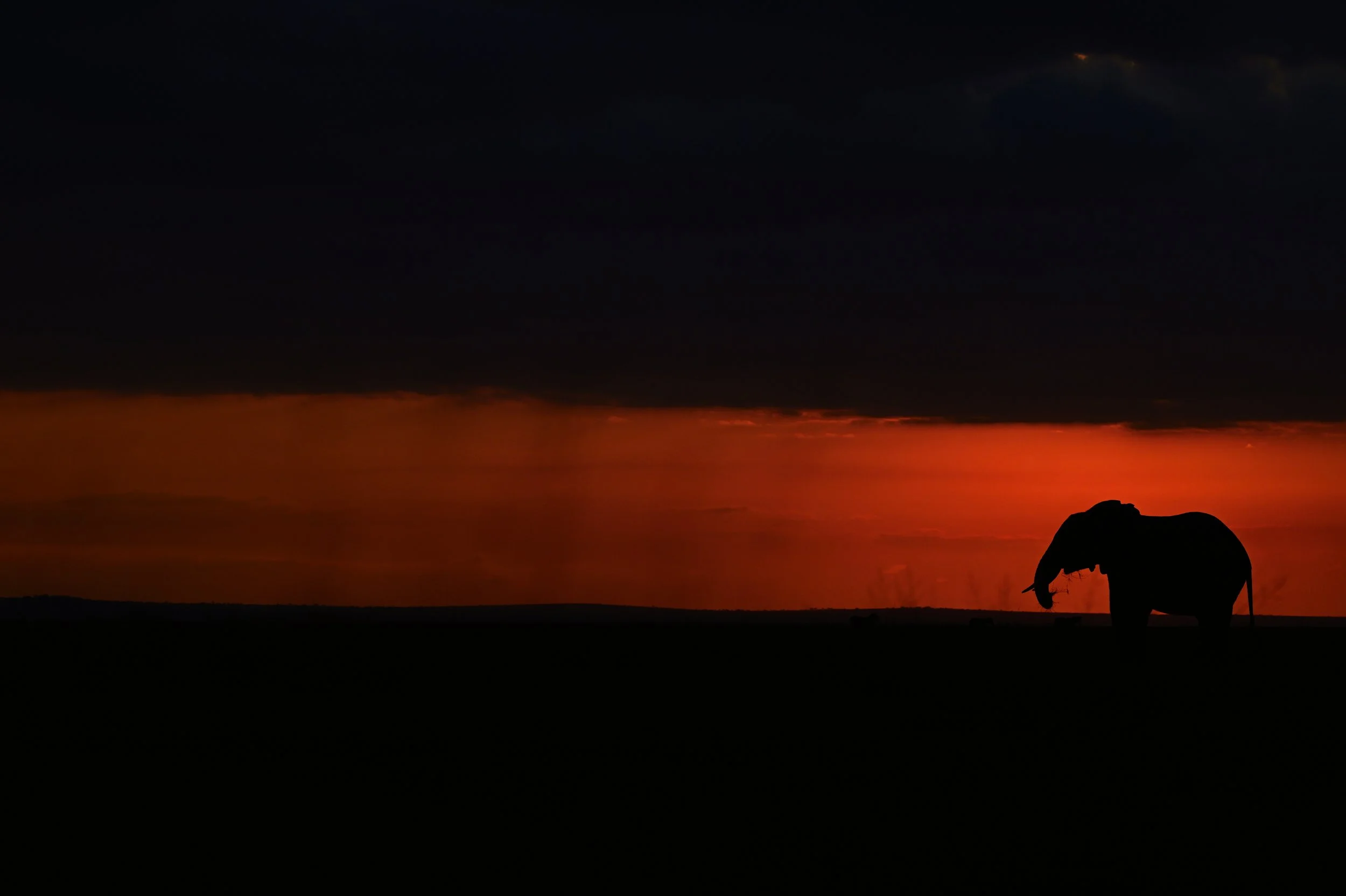 DSC_5263.jpg