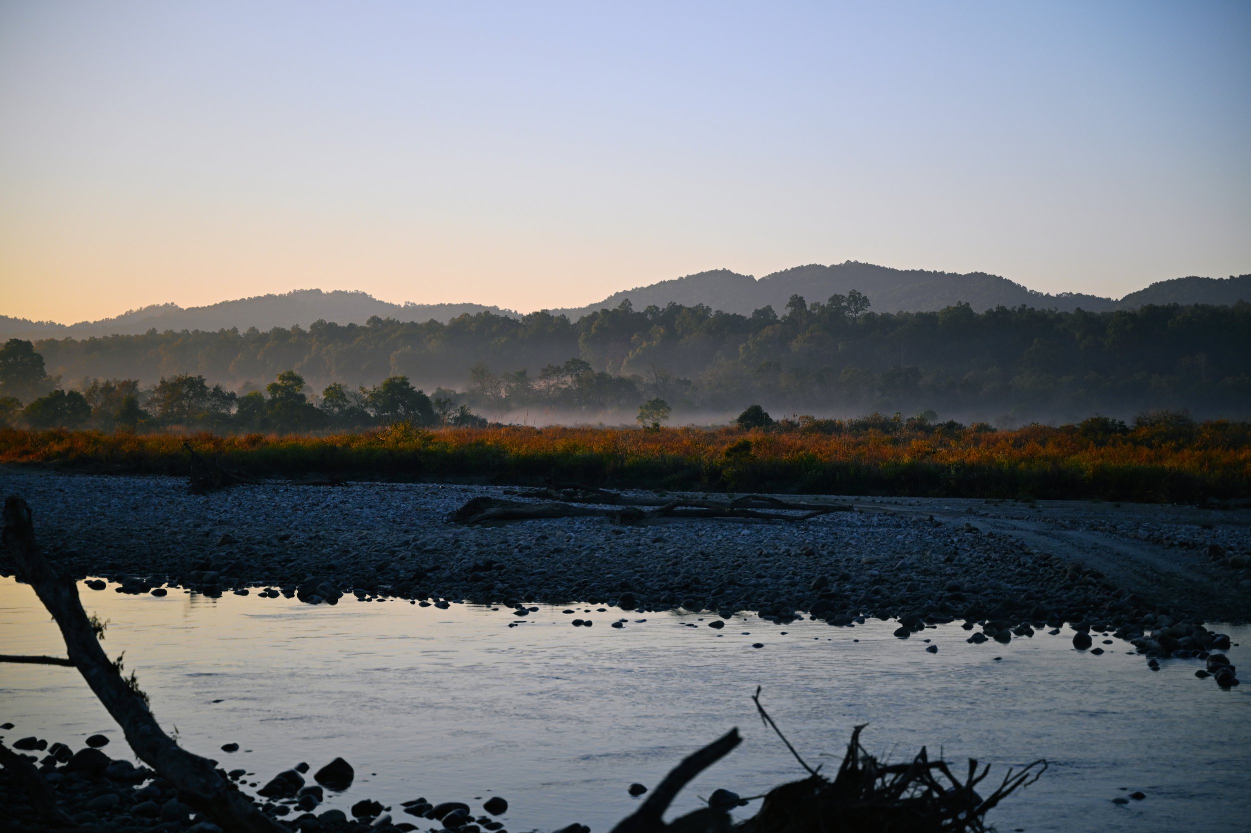 DSC_3816.jpg