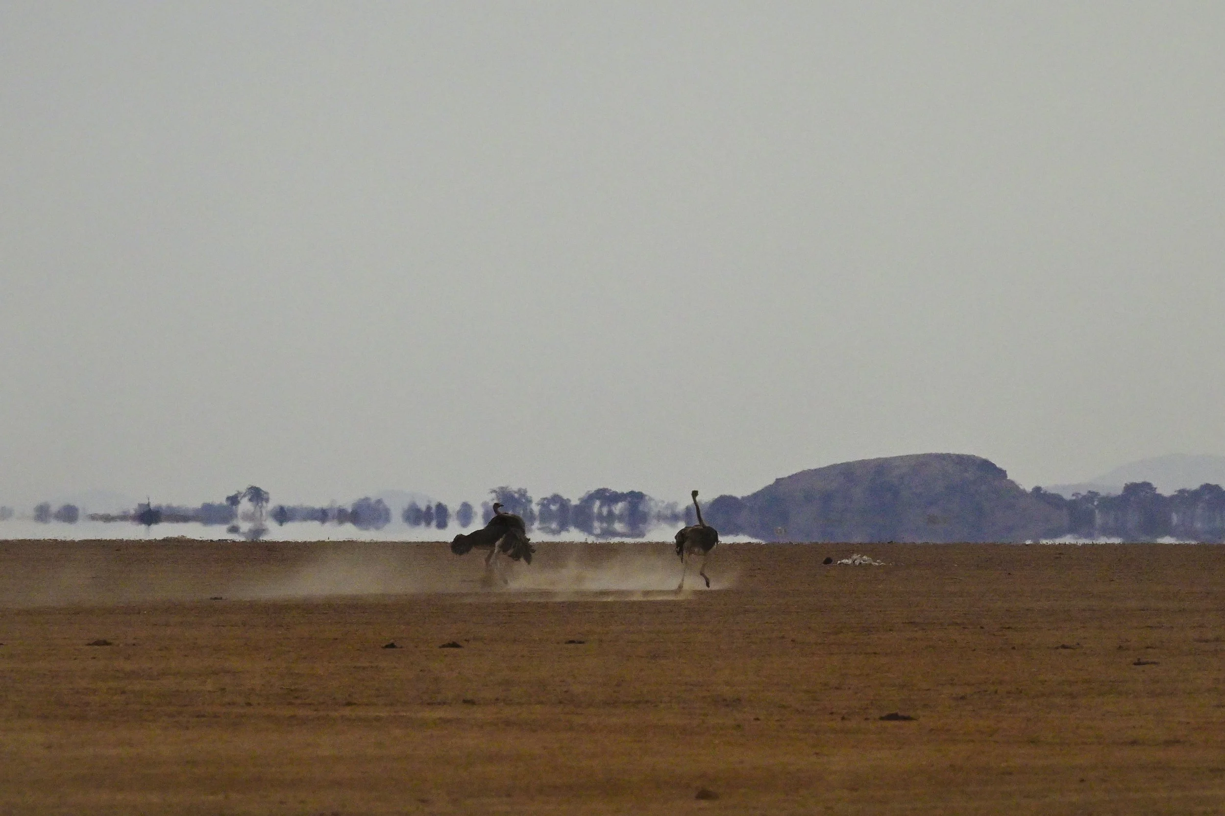DSC_6081 1.jpg