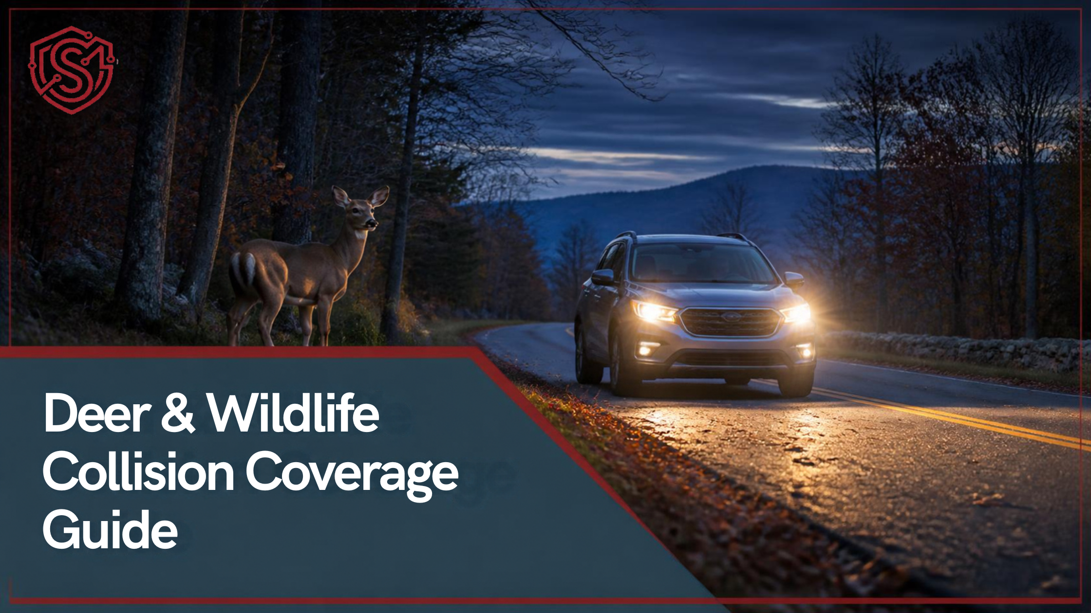 Hit a Deer in Central Mass? What Your Auto Policy Actually Covers (Before November Hits)