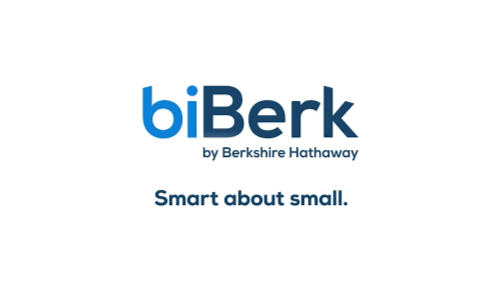 Logo for biBerk by Berkshire Hathaway with the tagline 'Smart about small'.