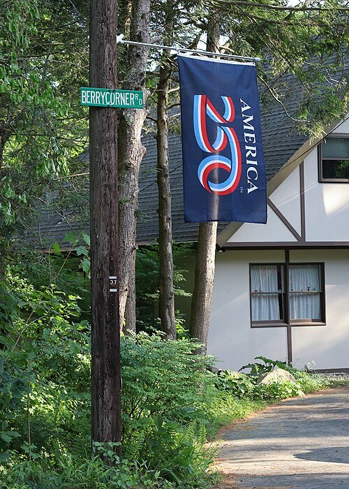 An image of an America 250 flag hanging off a flagpole on a tree at Berry Corner In Charlton