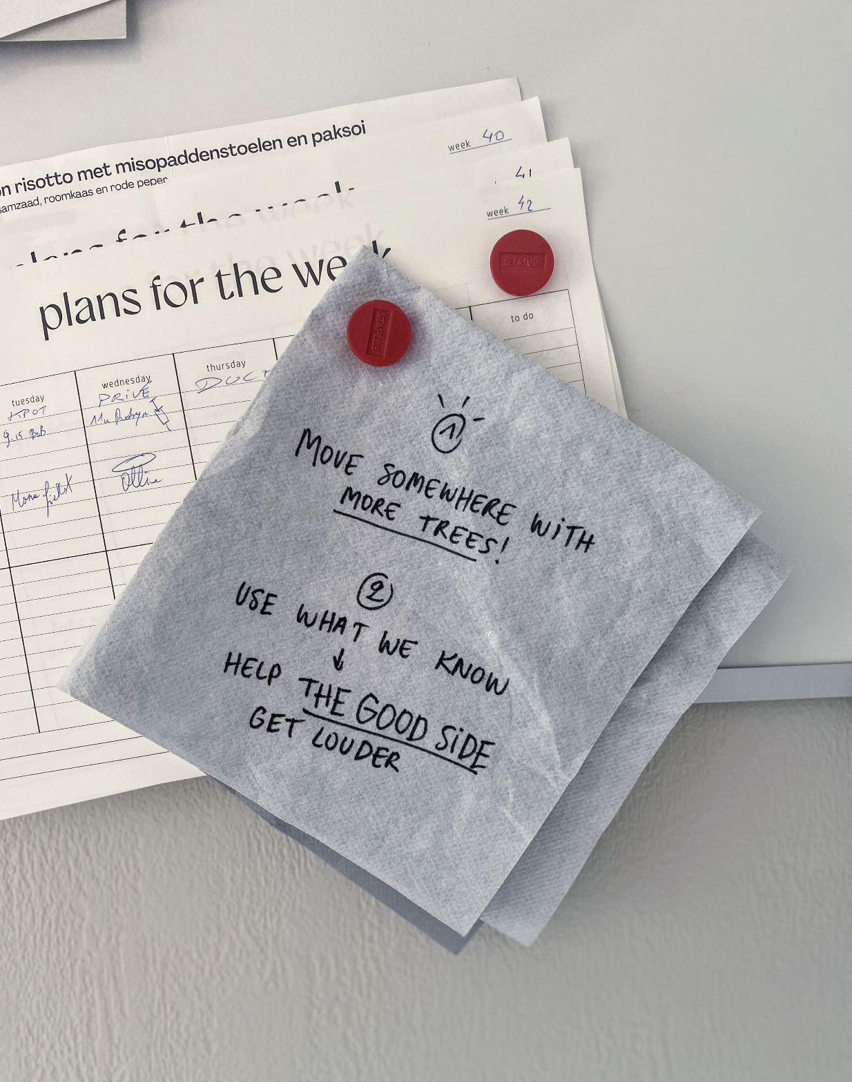 The famous napkin, with our next 'five year plan', pinned on the magnet board, alongside our weekly plans.