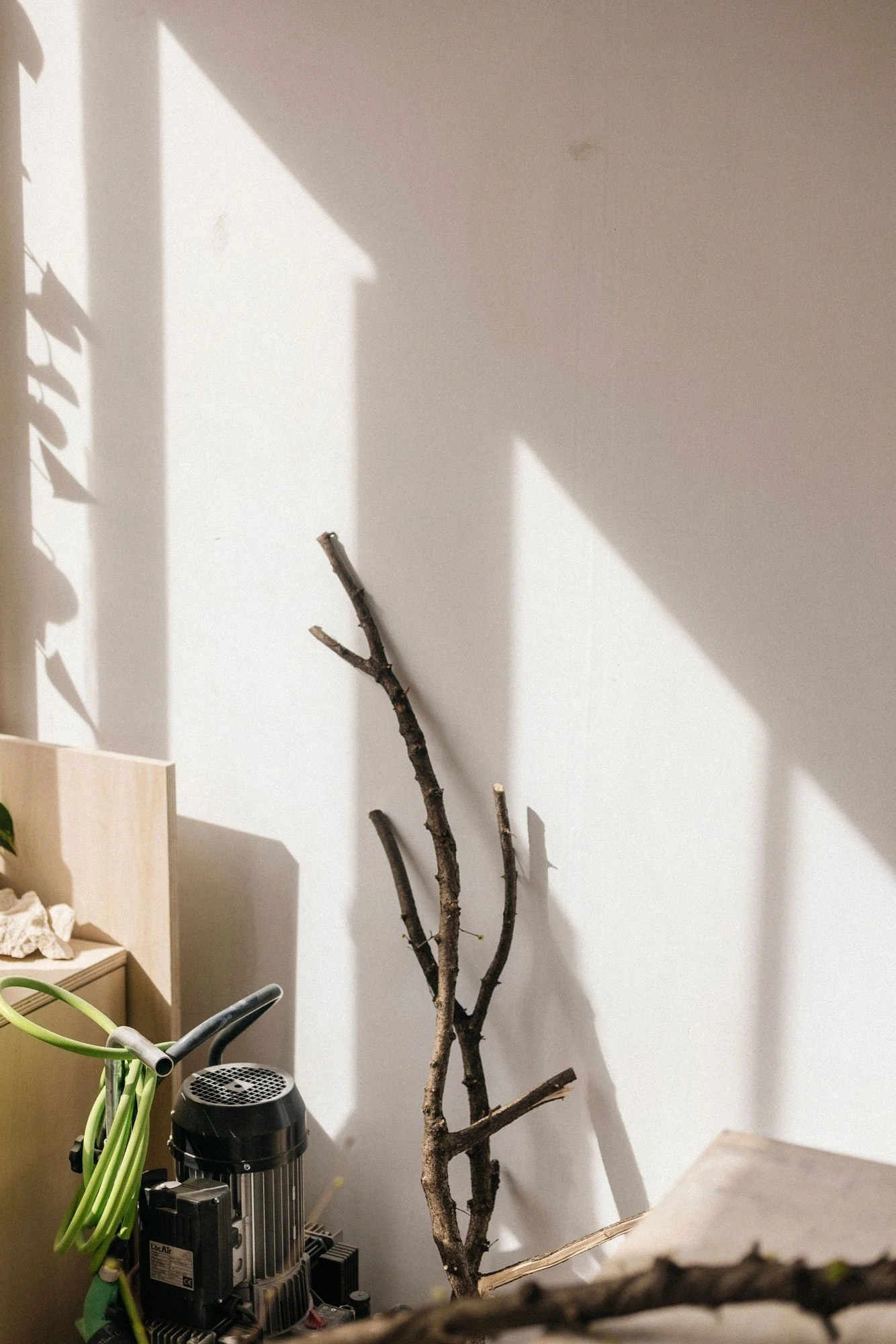 Un intérieur avec un mur blanc, une branche d'arbre posée au sol, un aspirateur et des tuyaux verts à côté.