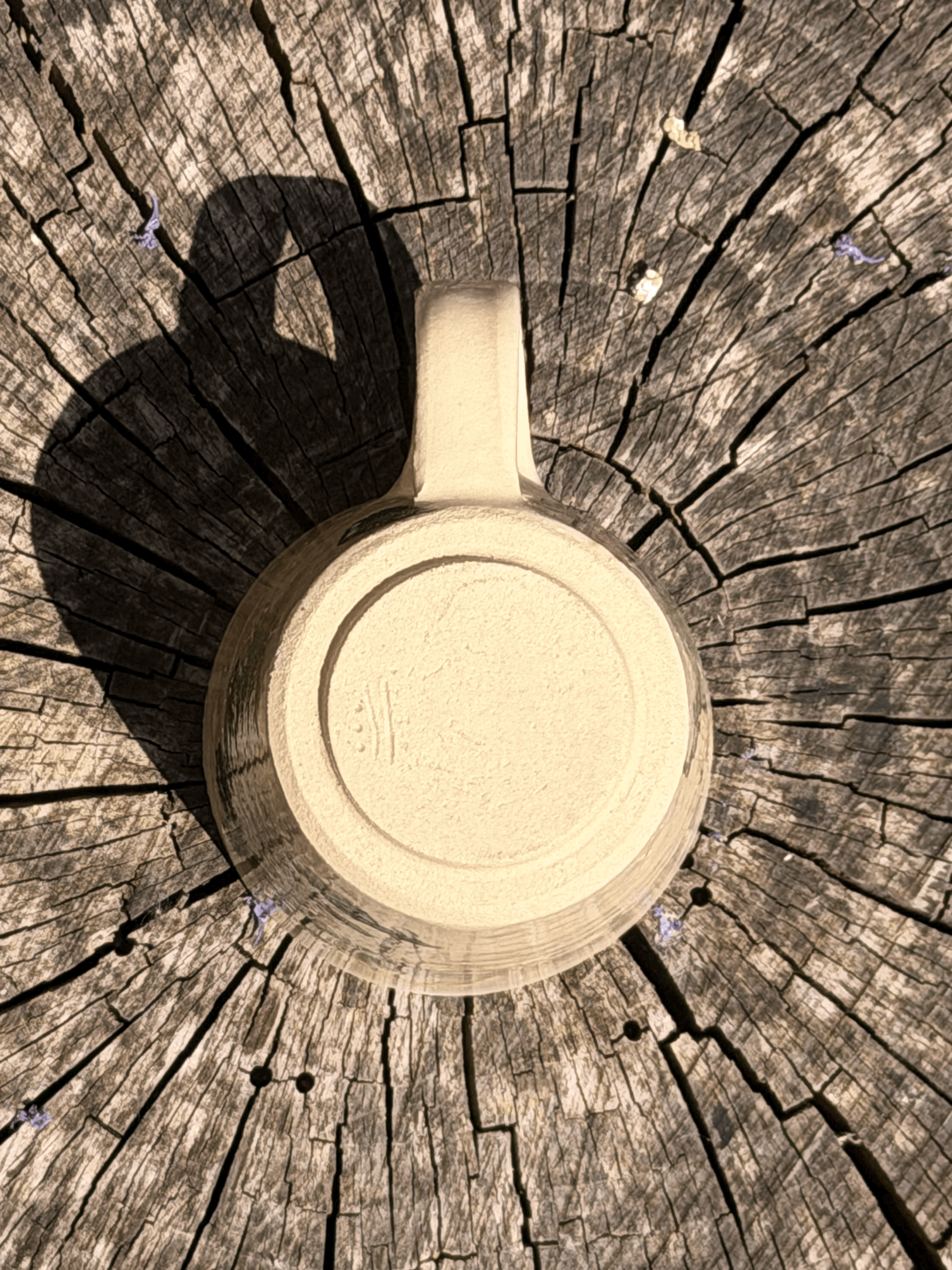 tempImageAMiCtP.gif
