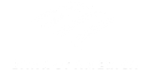 Bank of America logo with three white stripes above the text