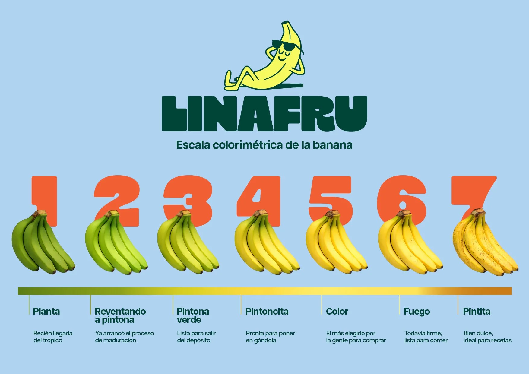 Escala colorimetrica LINAFRU.jpg