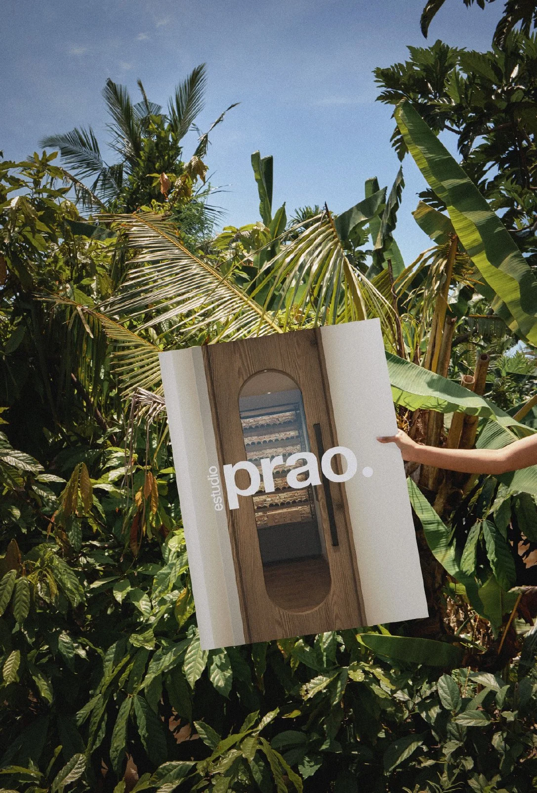 web prao-05.jpg