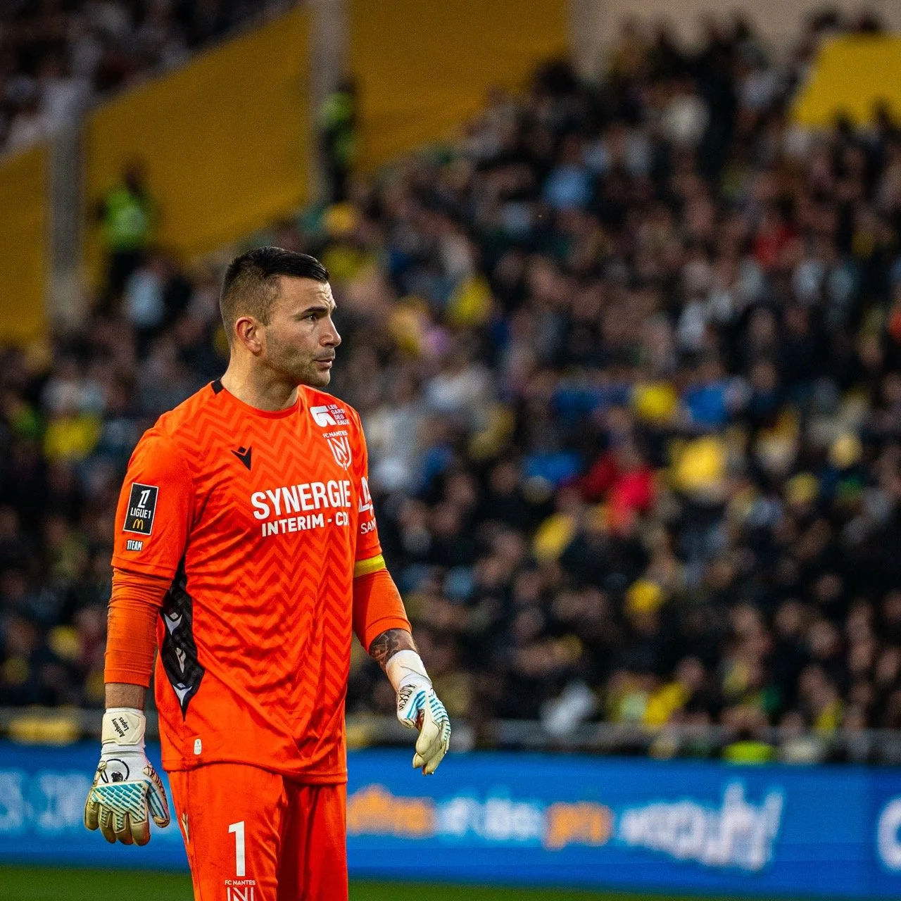 Anthony Lopes - FC-NANTES vs ANGERS SCO-55 - Grande.jpeg