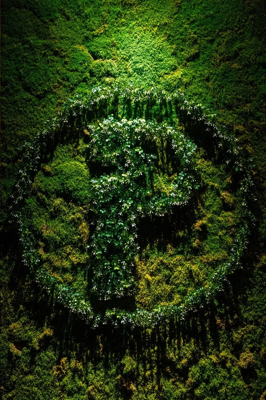 Une forêt dense vue d'en haut formant le symbole du recyclage, composé de verdure et de végétation.